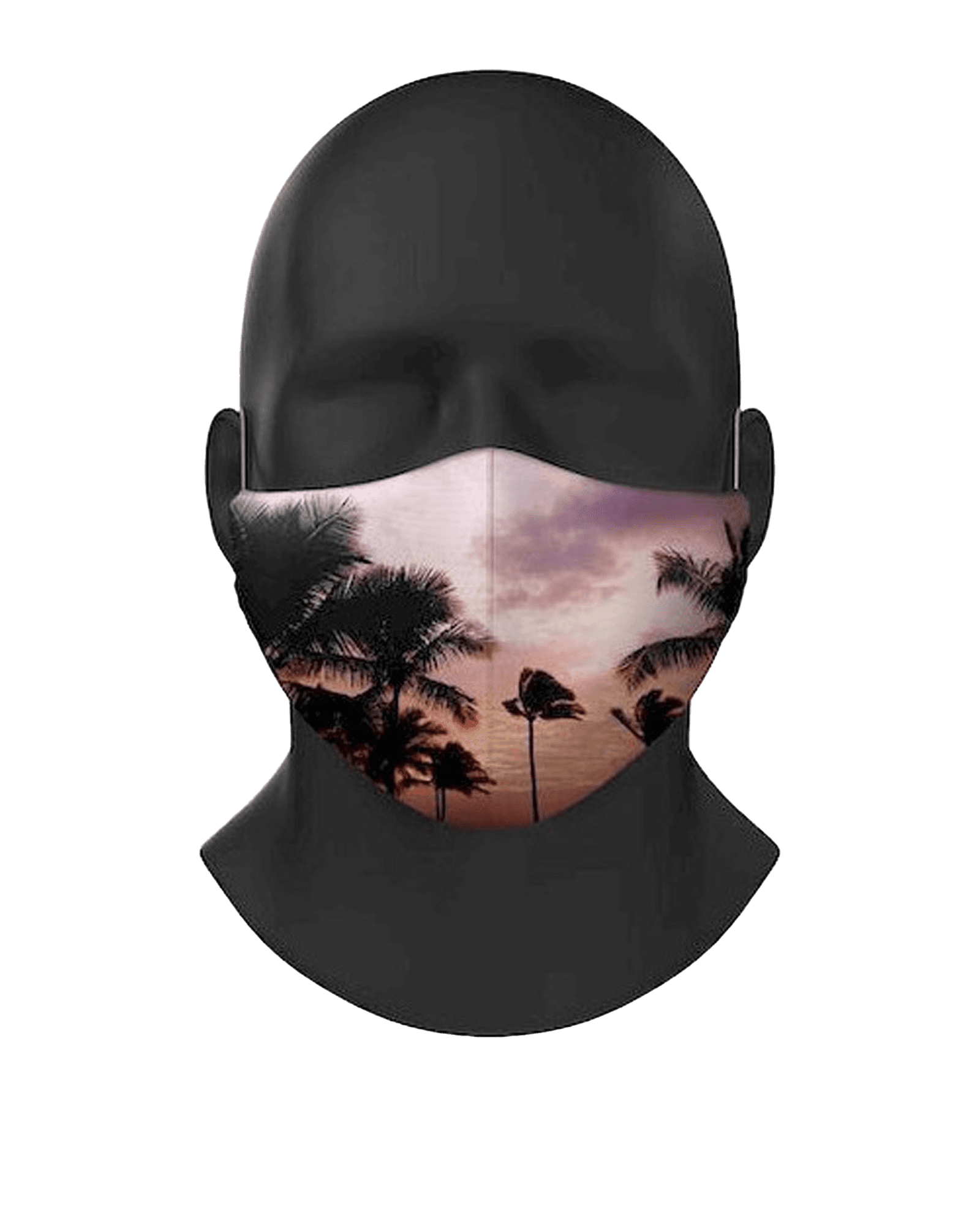 Beach Palm