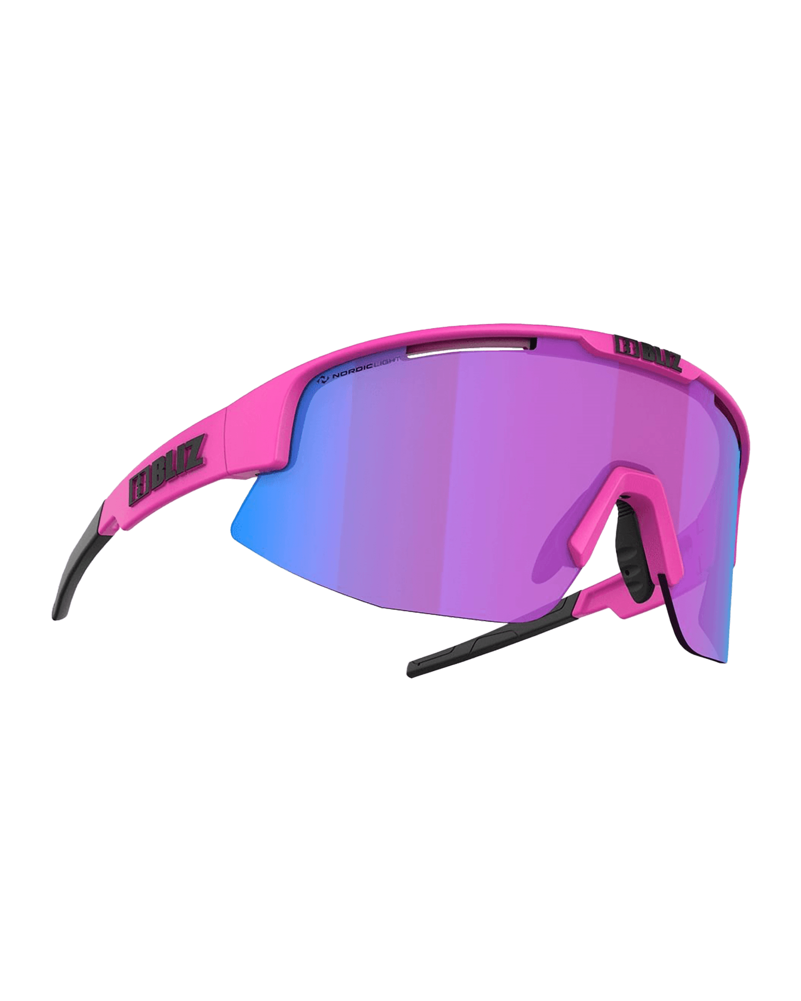 Nordic Light Begonia: Violet/Blue