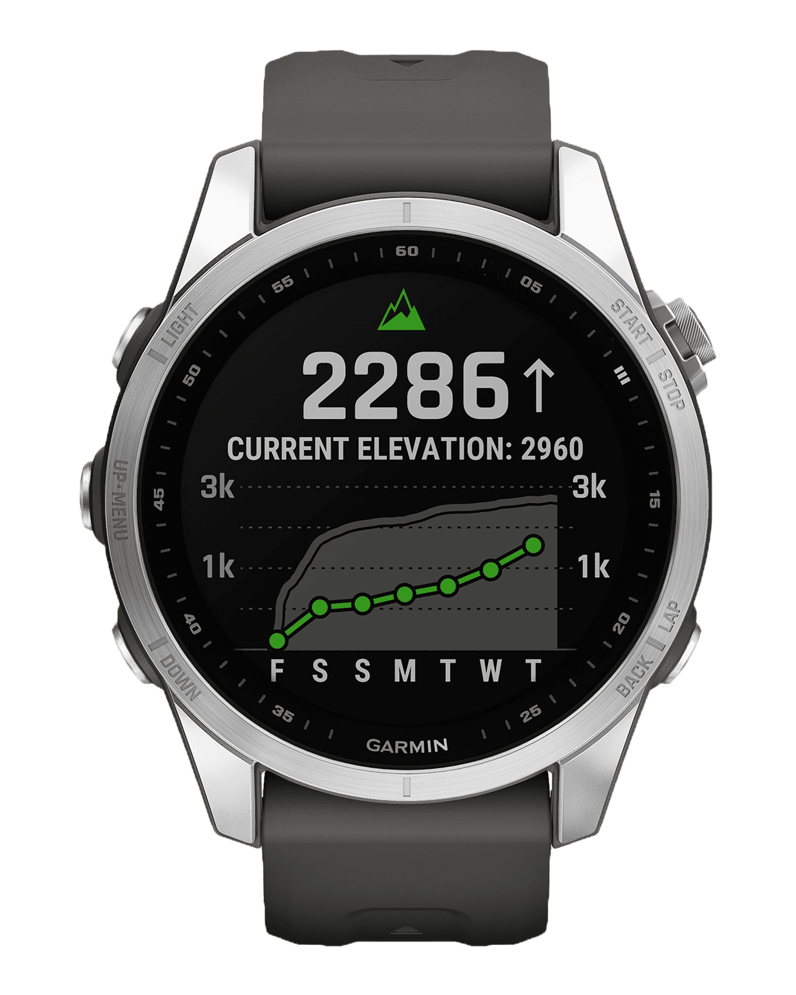 Silver with Graphite Band