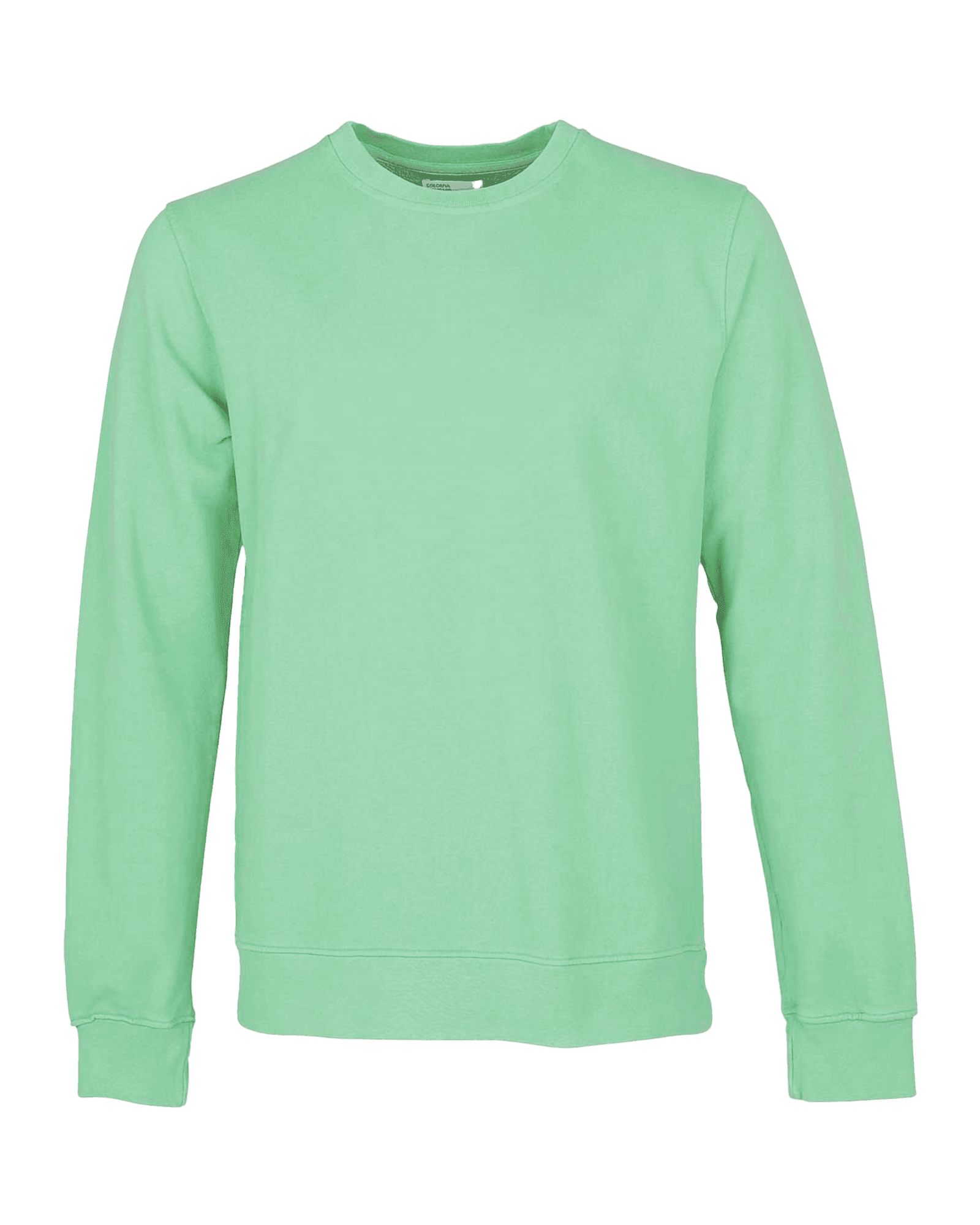 Classic Organic Crew Seafoam Green