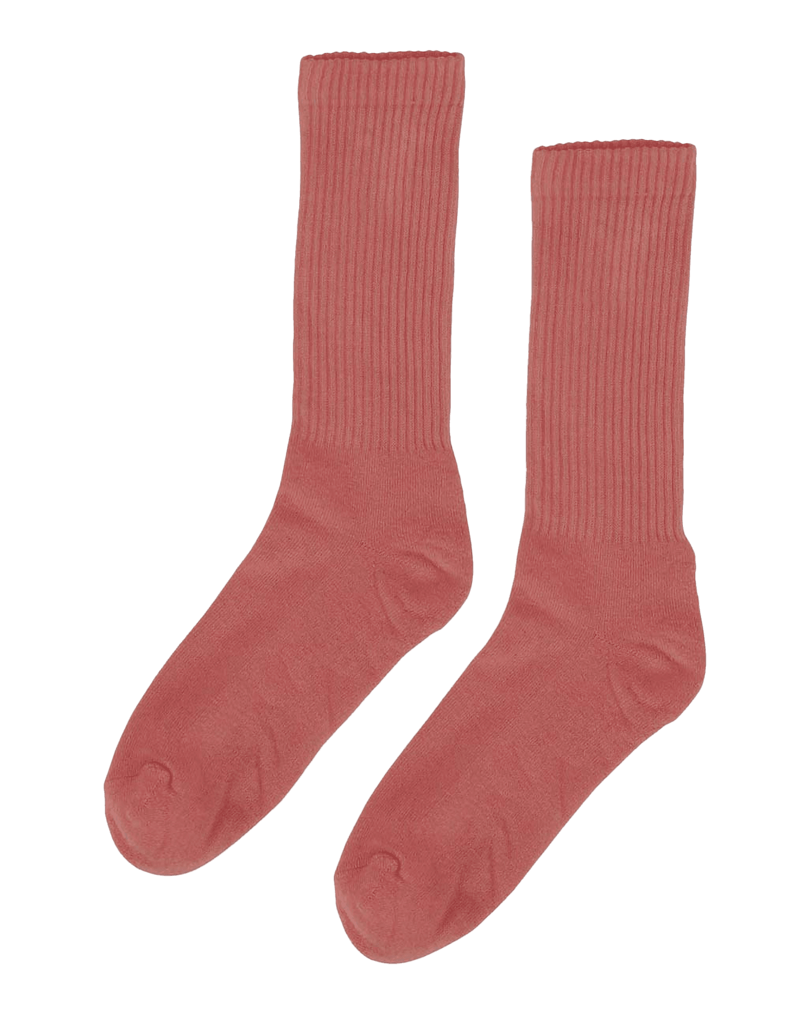 Bright Coral