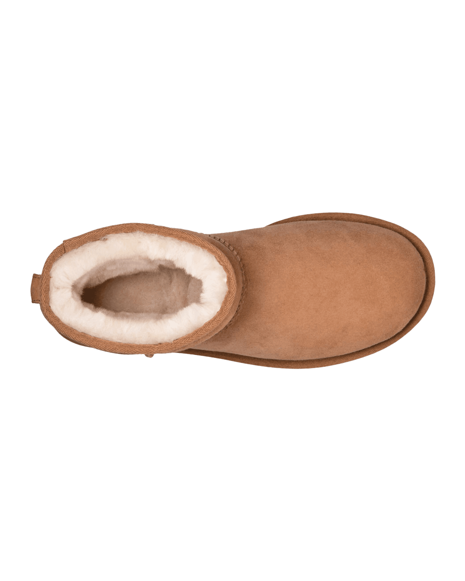 Chestnut