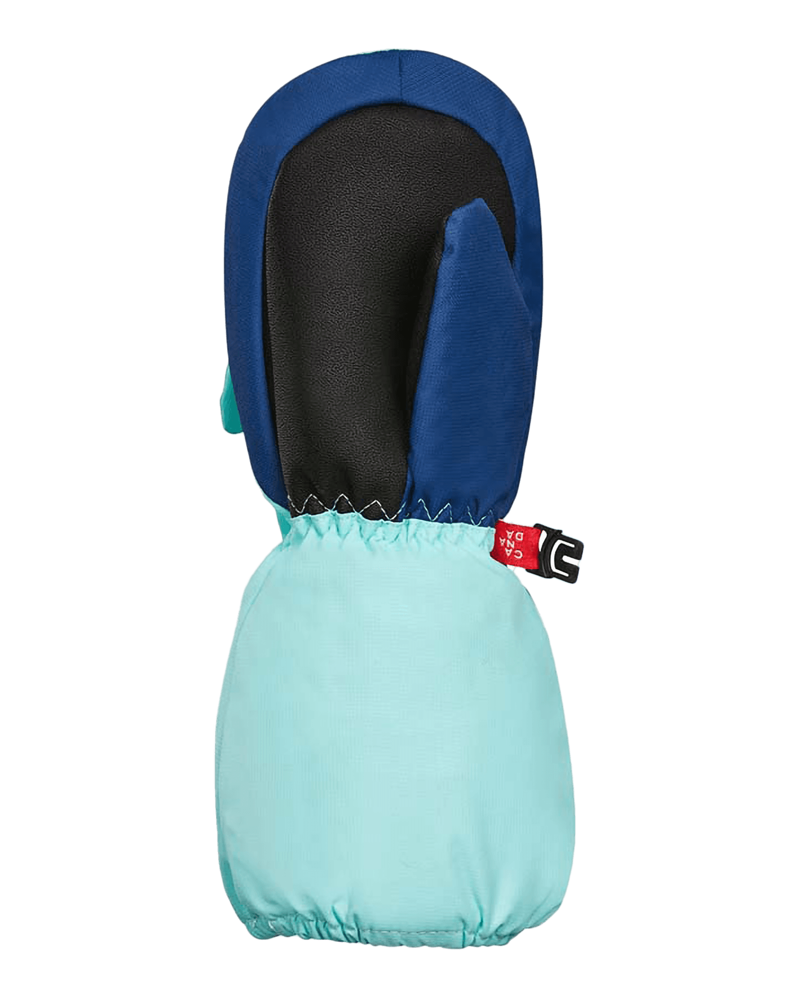 Lisa Llama