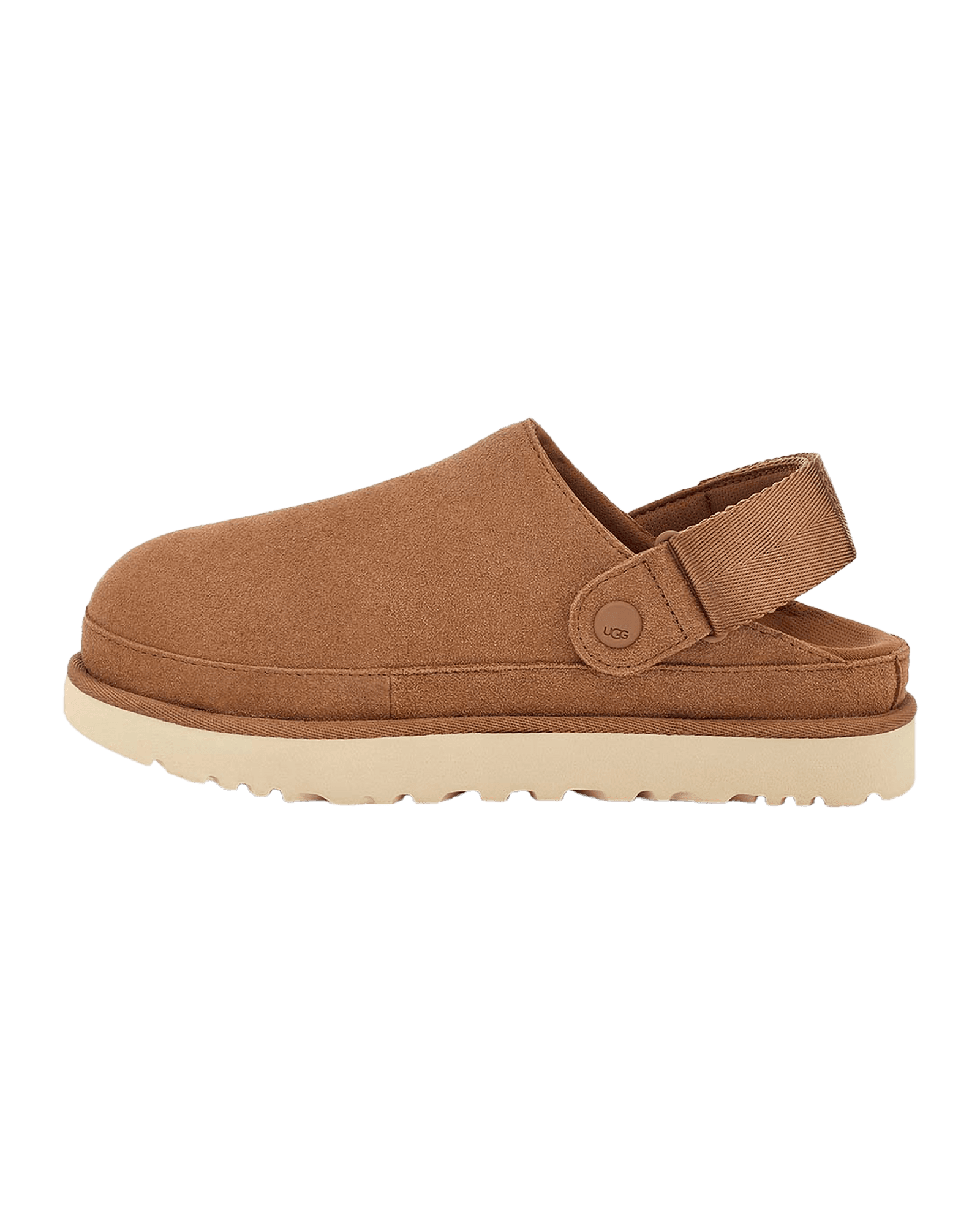 Chestnut