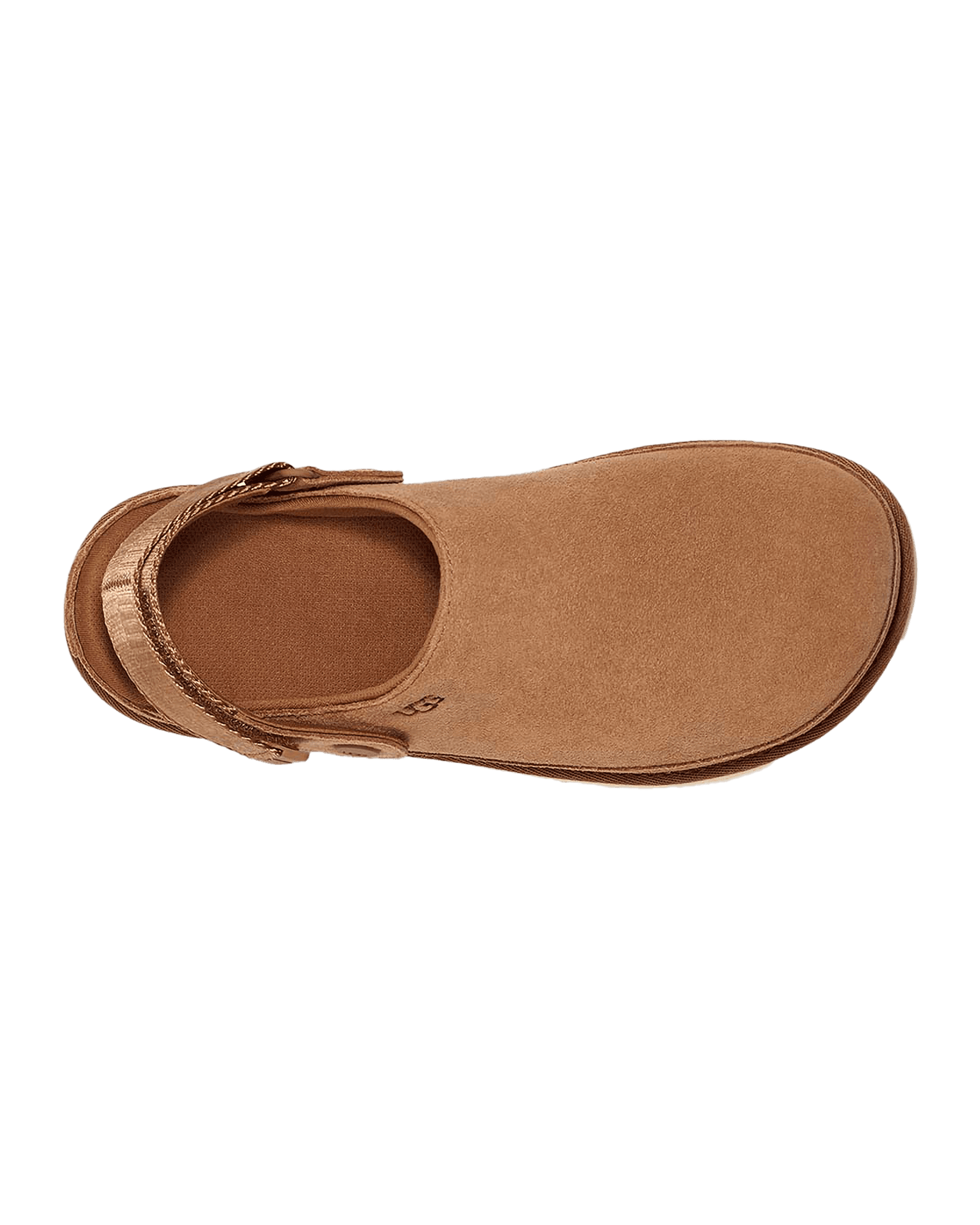 Chestnut