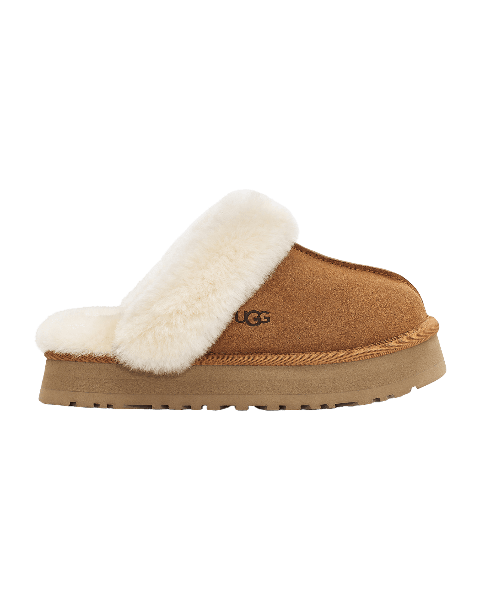 Disquette W Chestnut