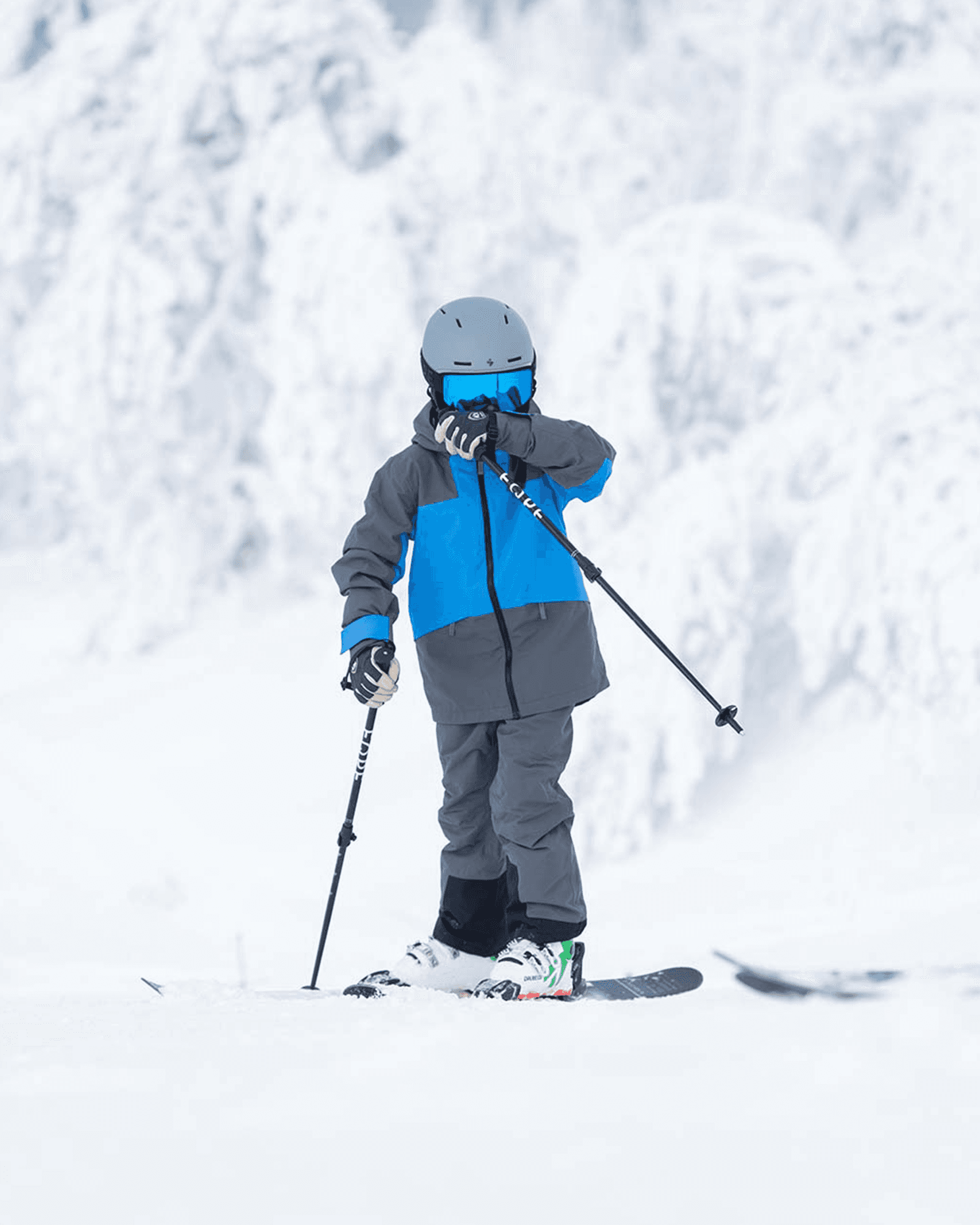 Palace Blue/Iron Grey