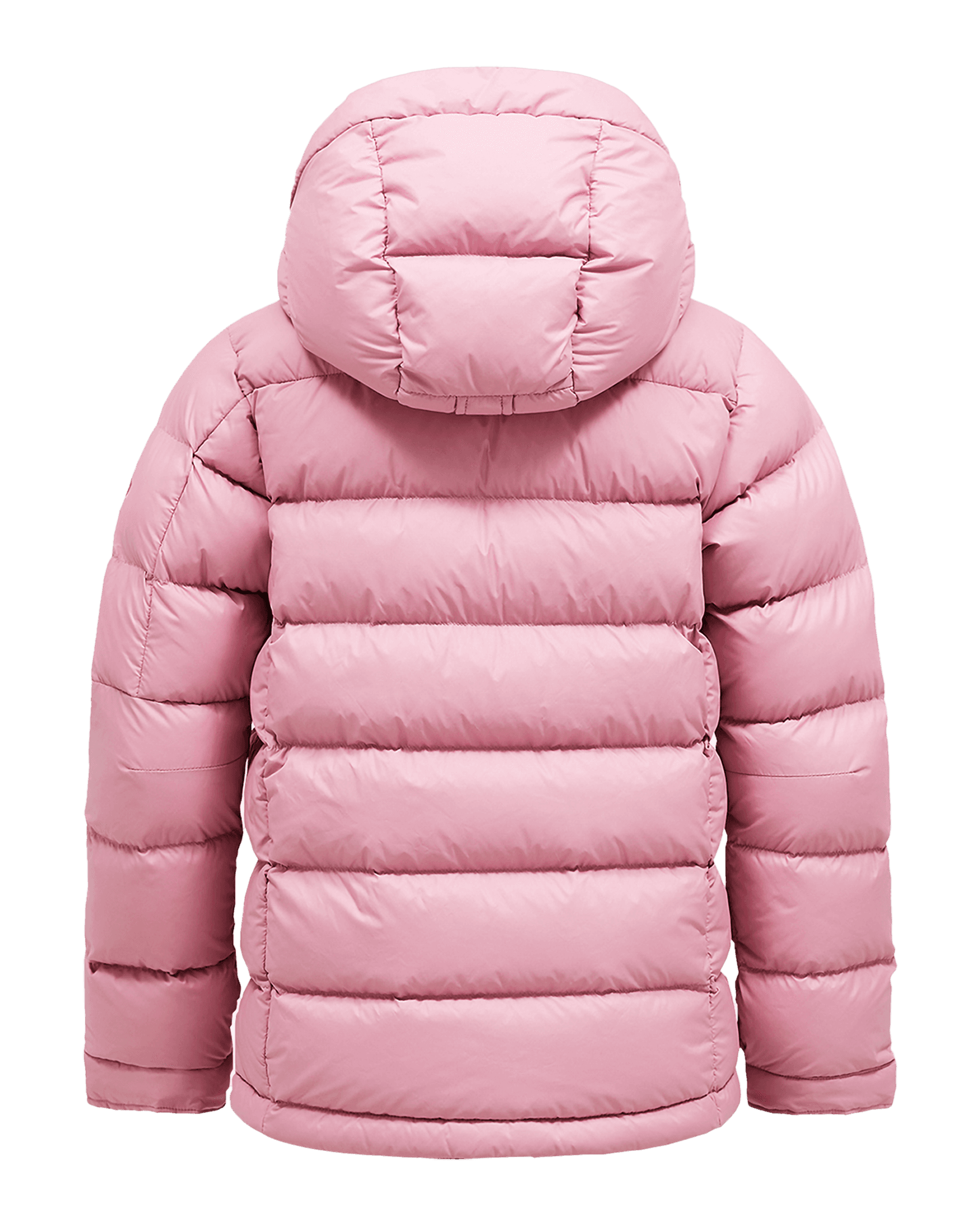 Bitter Root/Bitter Root