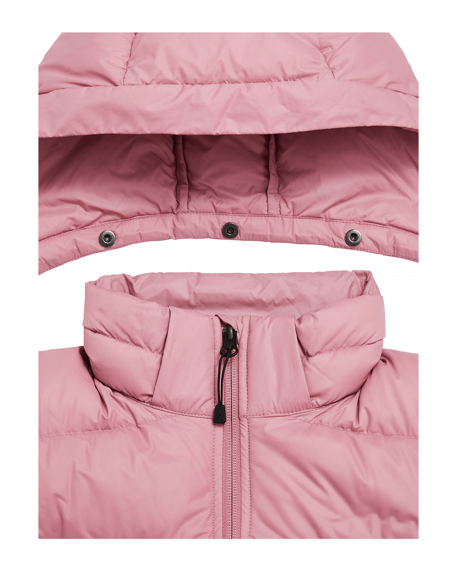 Bitter Root/Bitter Root