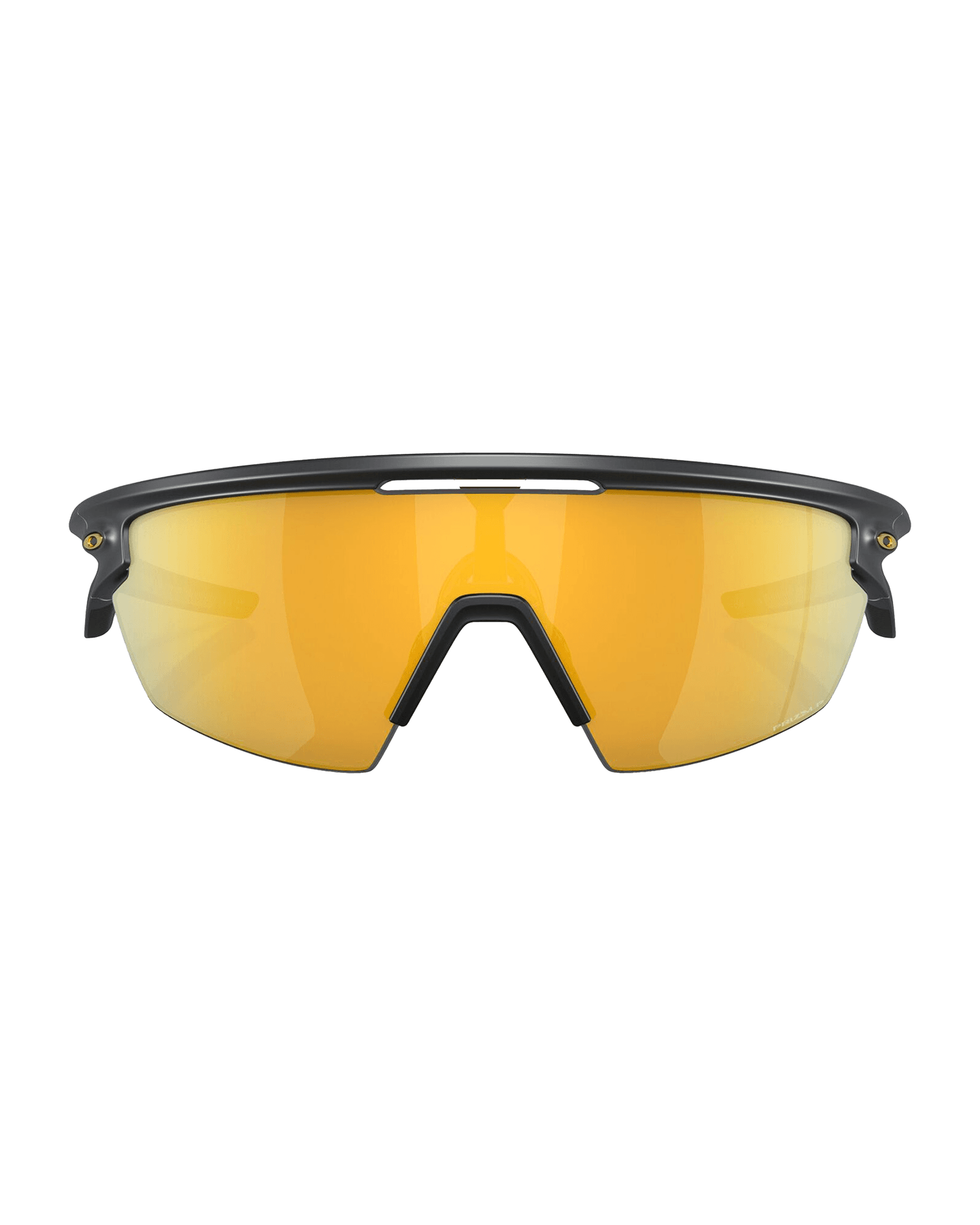 Prizm 24K Polarized