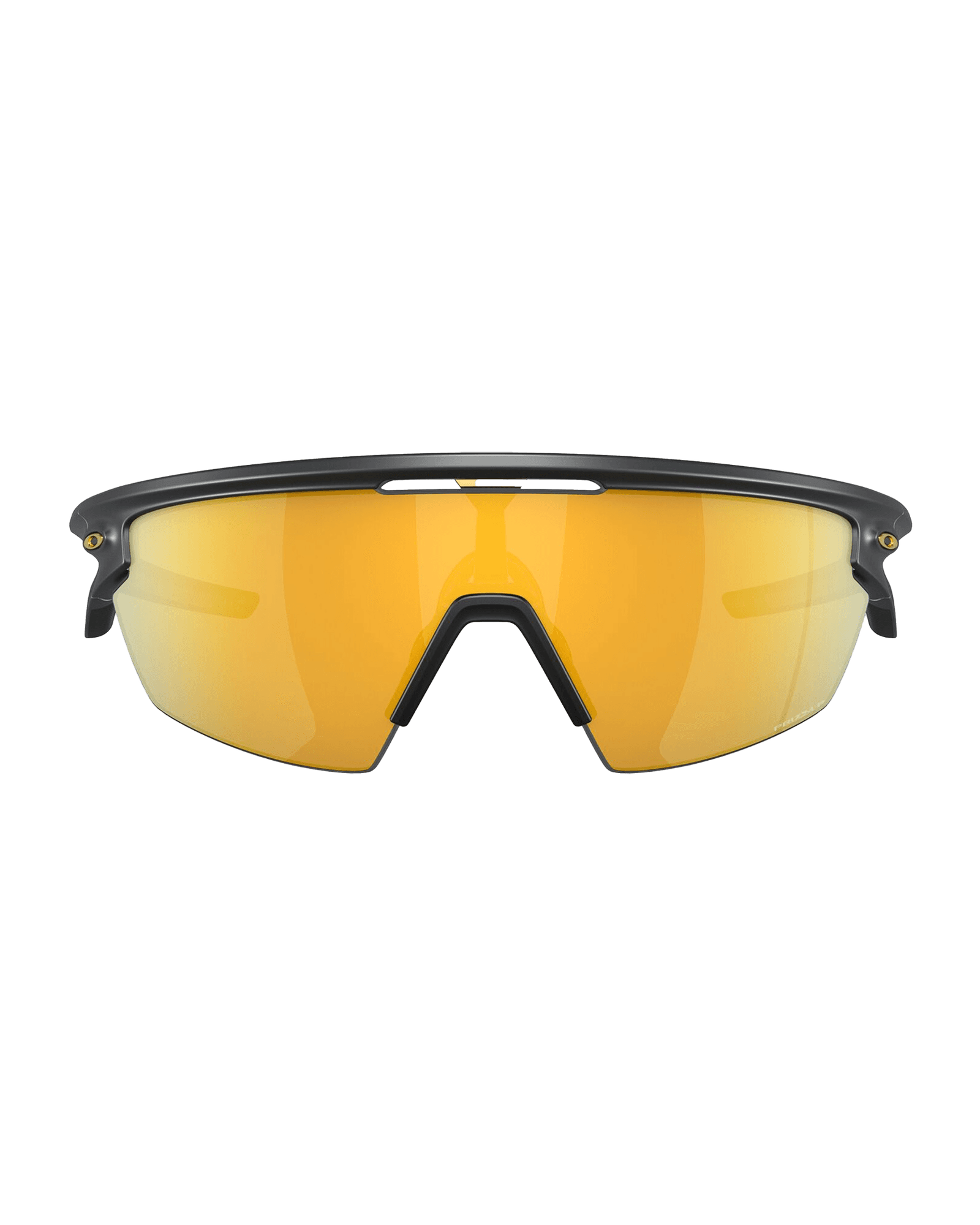 Prizm 24K Polarized