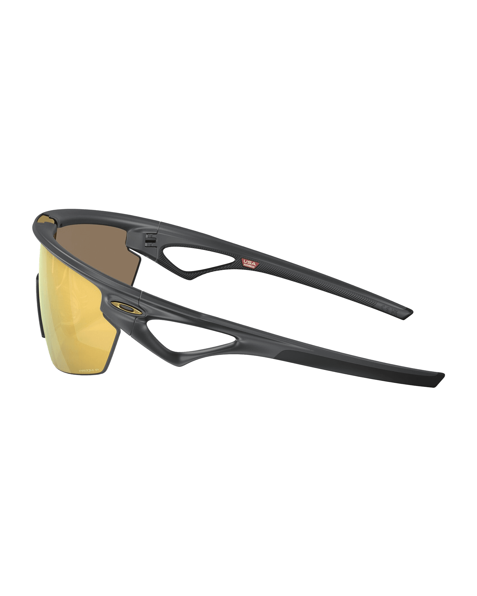 Prizm 24K Polarized