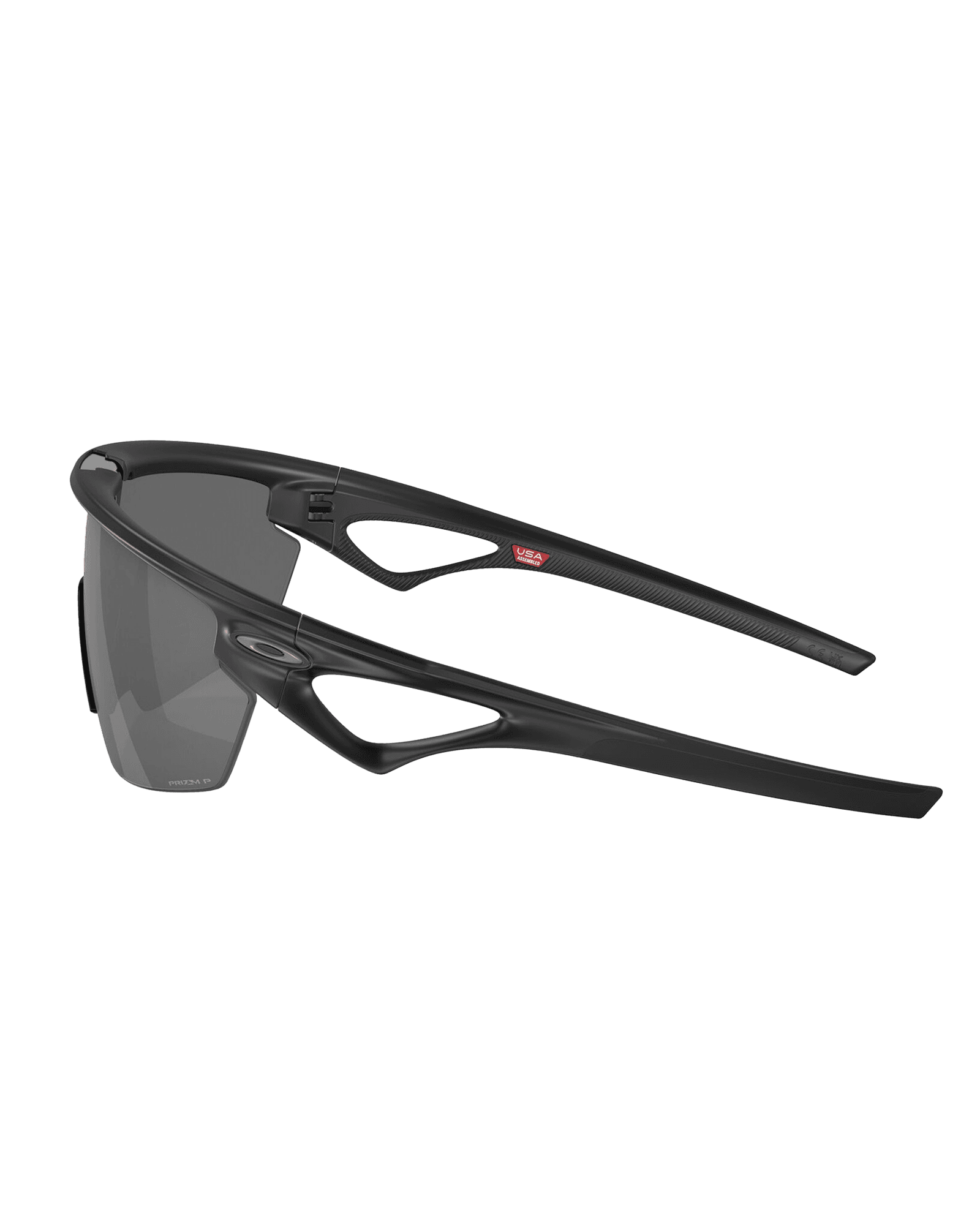 Prizm Black Polarized