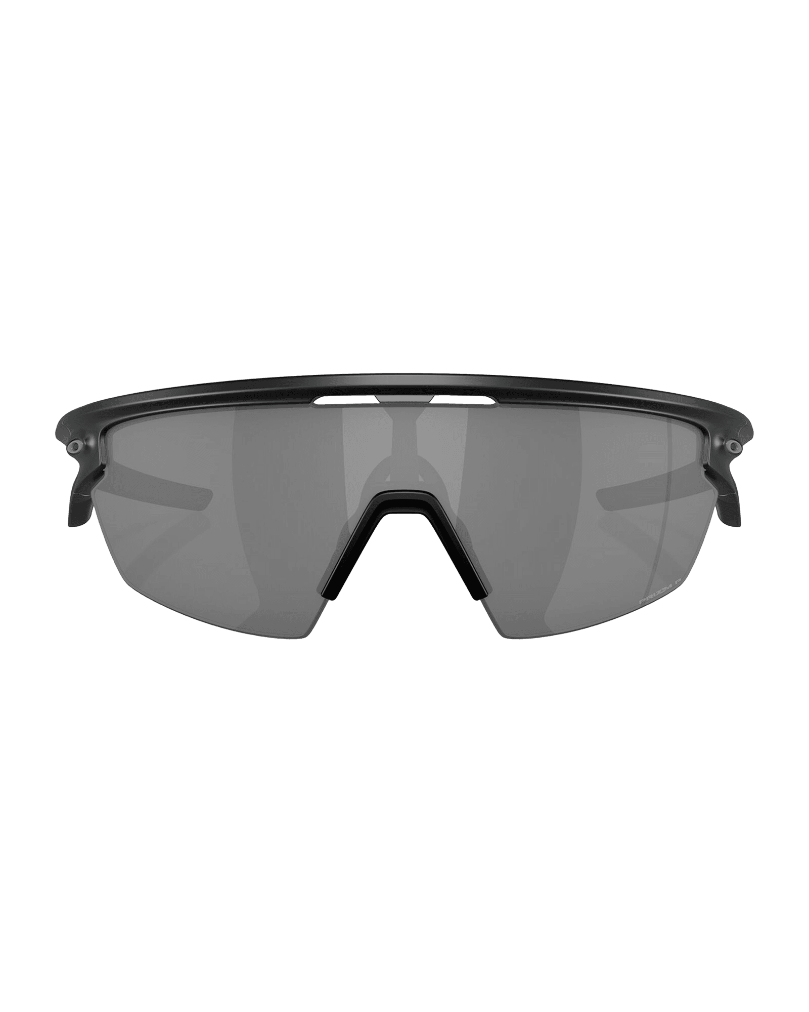 Prizm Black Polarized