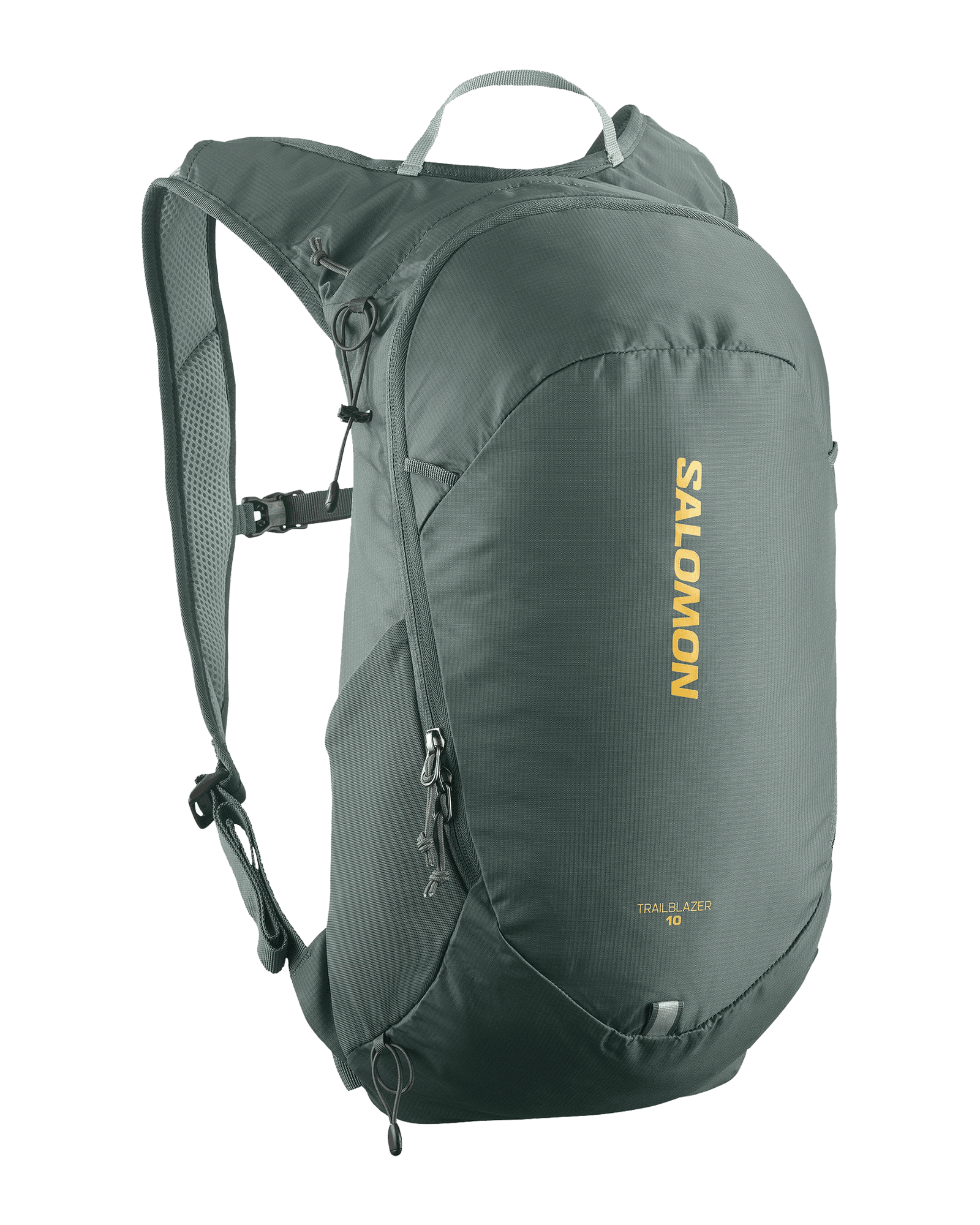 Urban Chic/Green Milieu