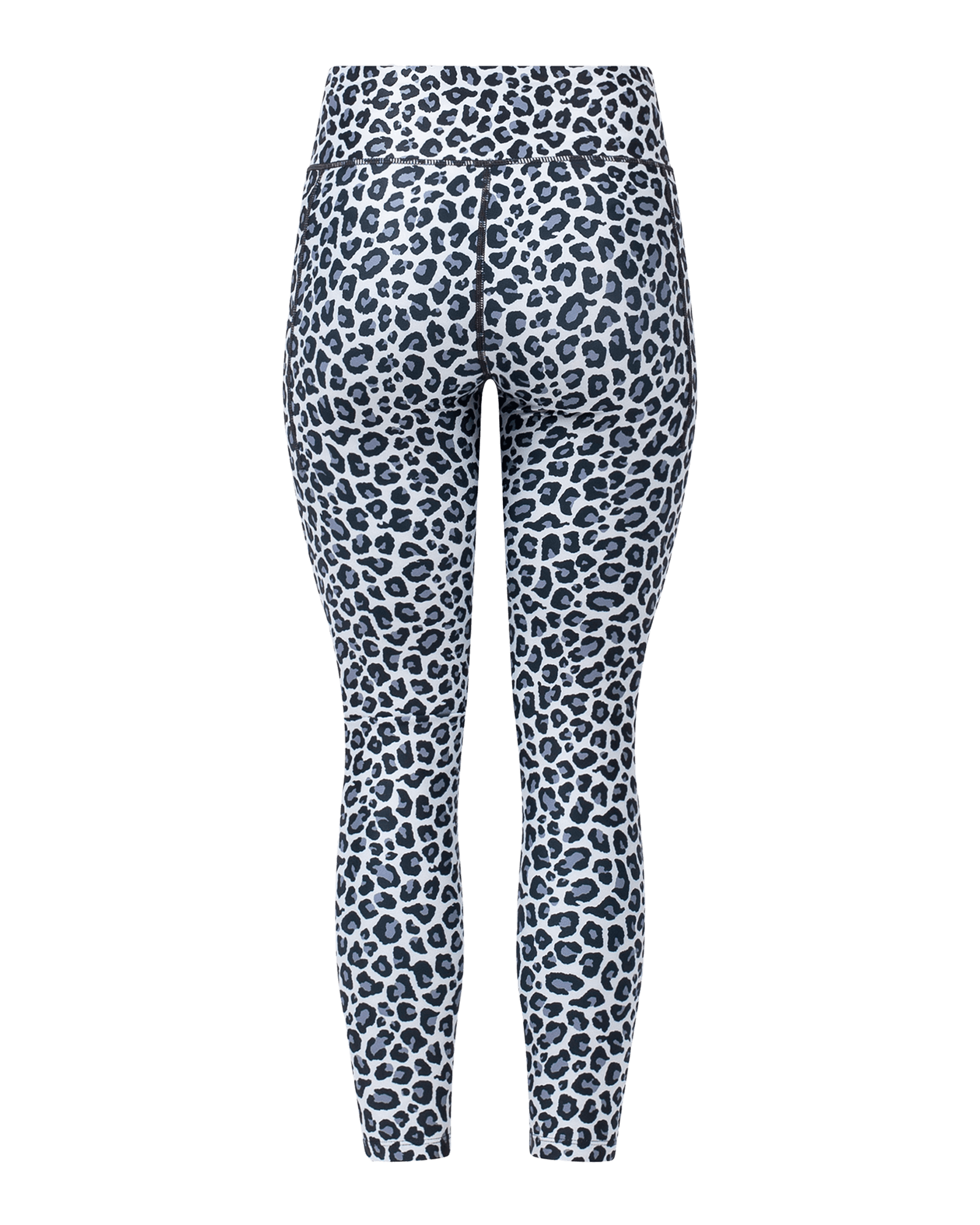 Snow Leopard
