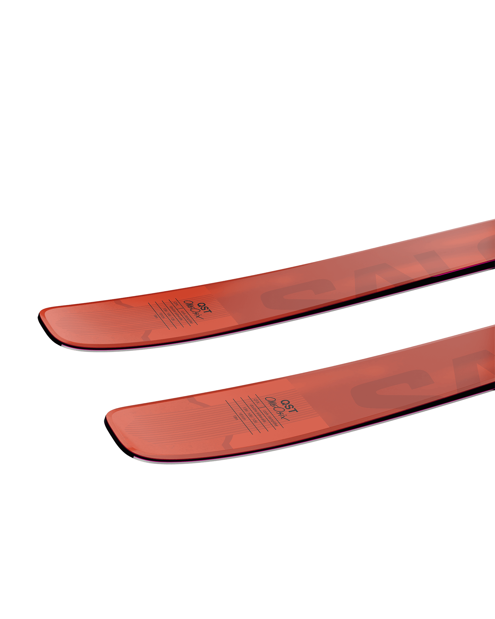 Neon Punch/Pastel Neon Purple 1/Neon Fuschia