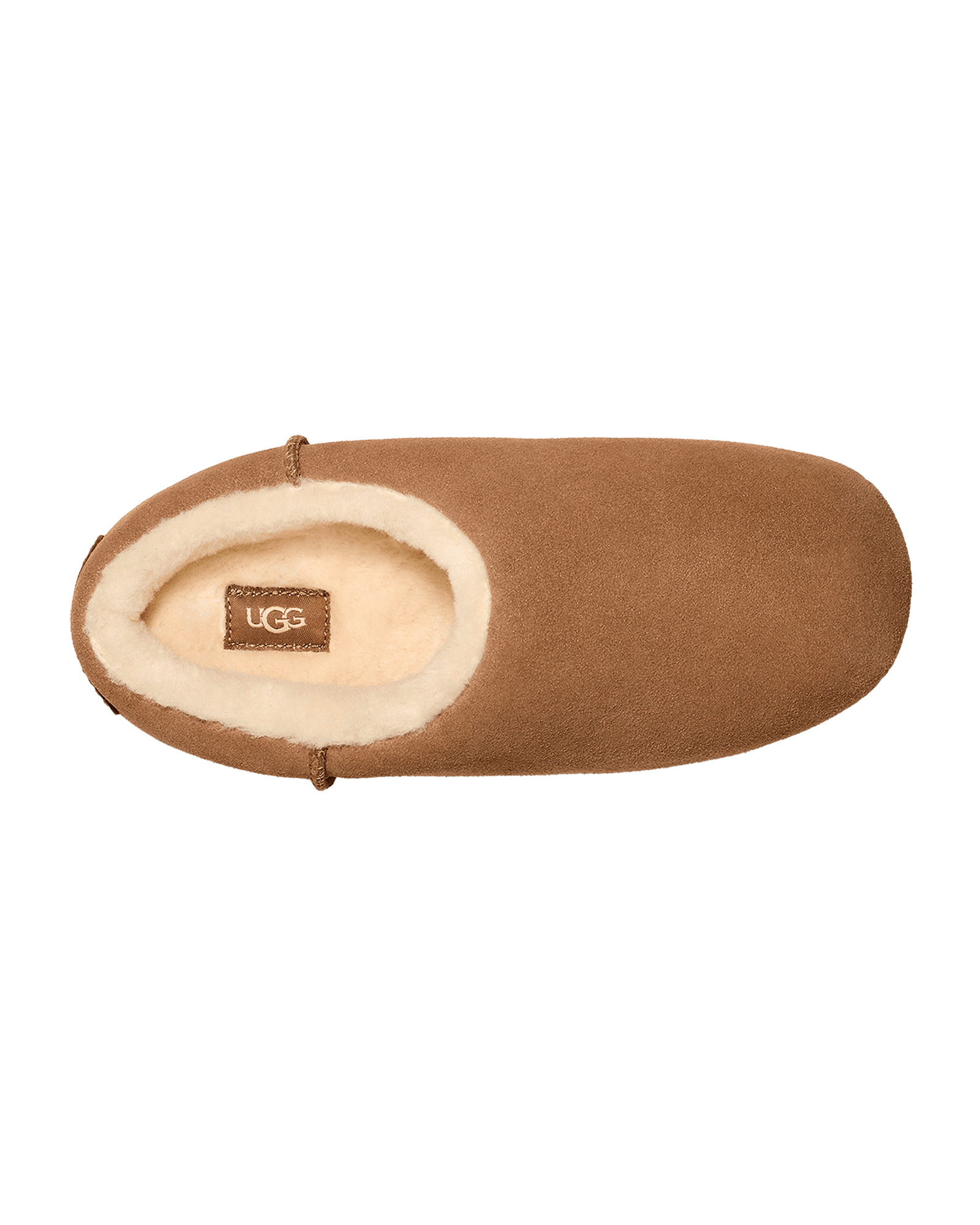Chestnut
