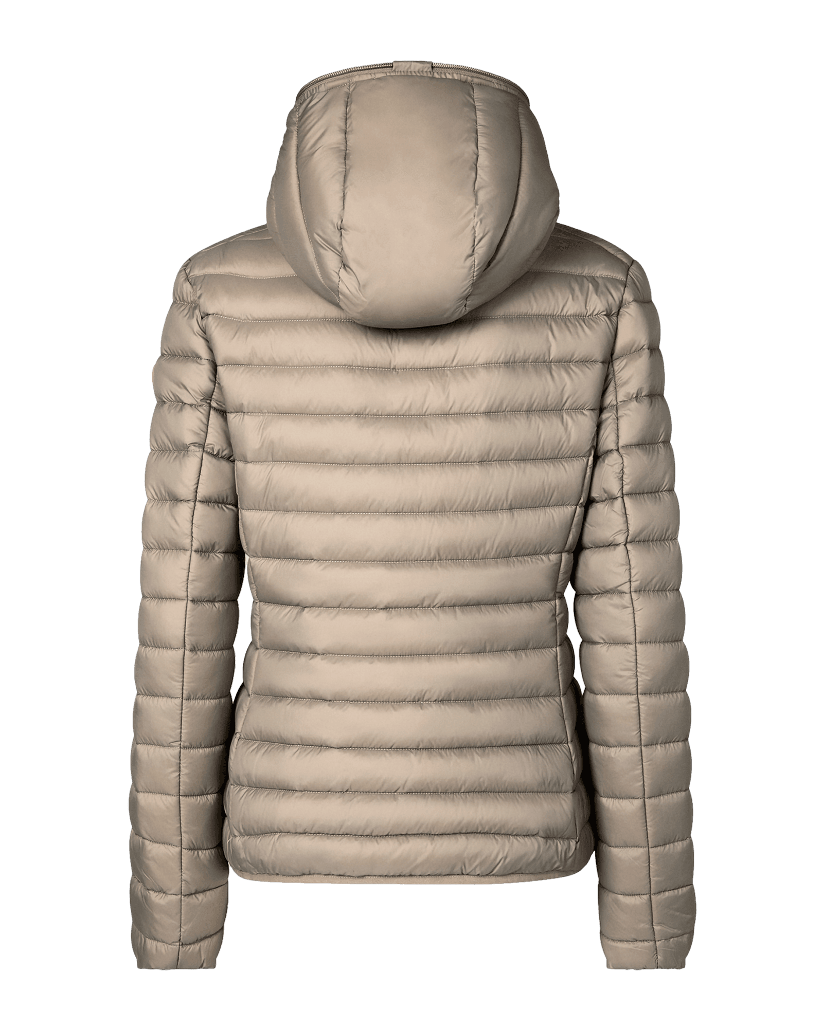 Elephant Grey