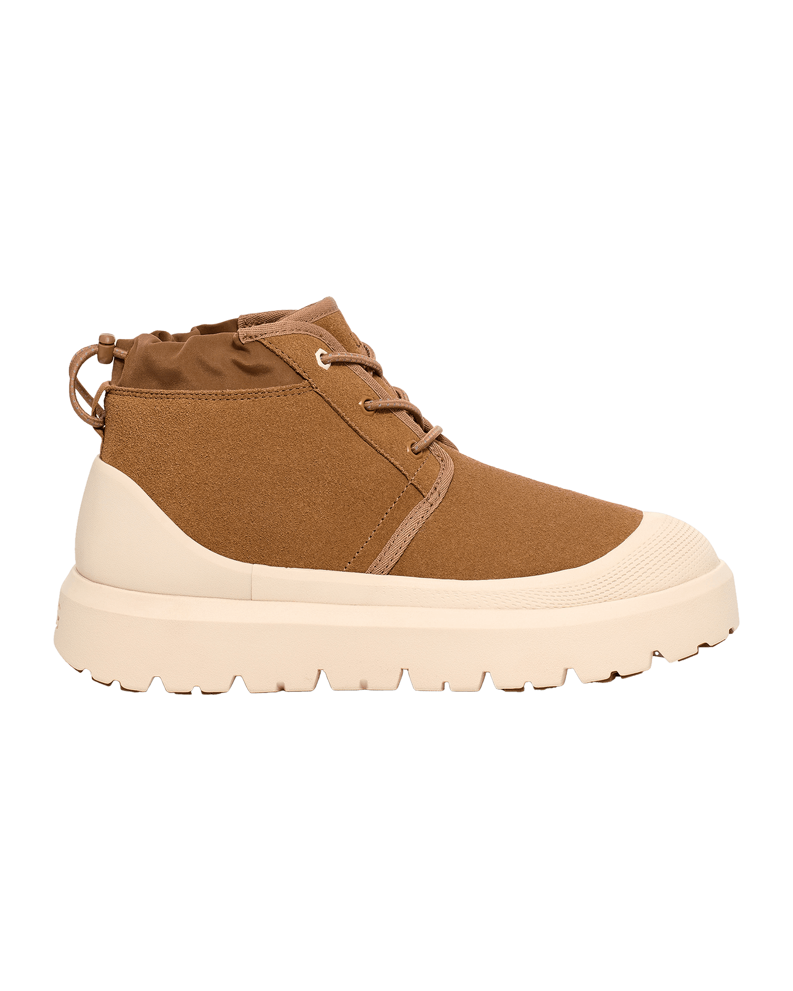 Chestnut/Whitecap