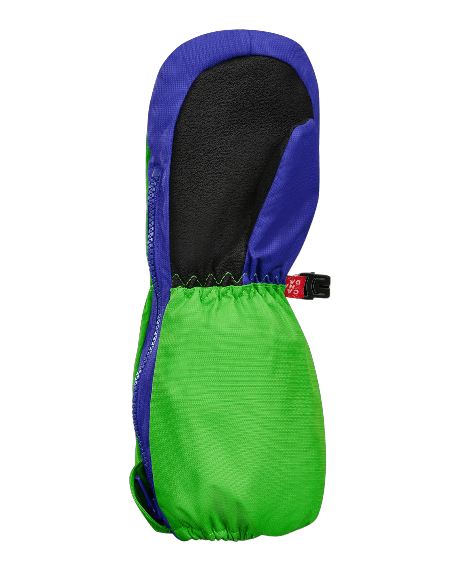 Theodore The Dinosau