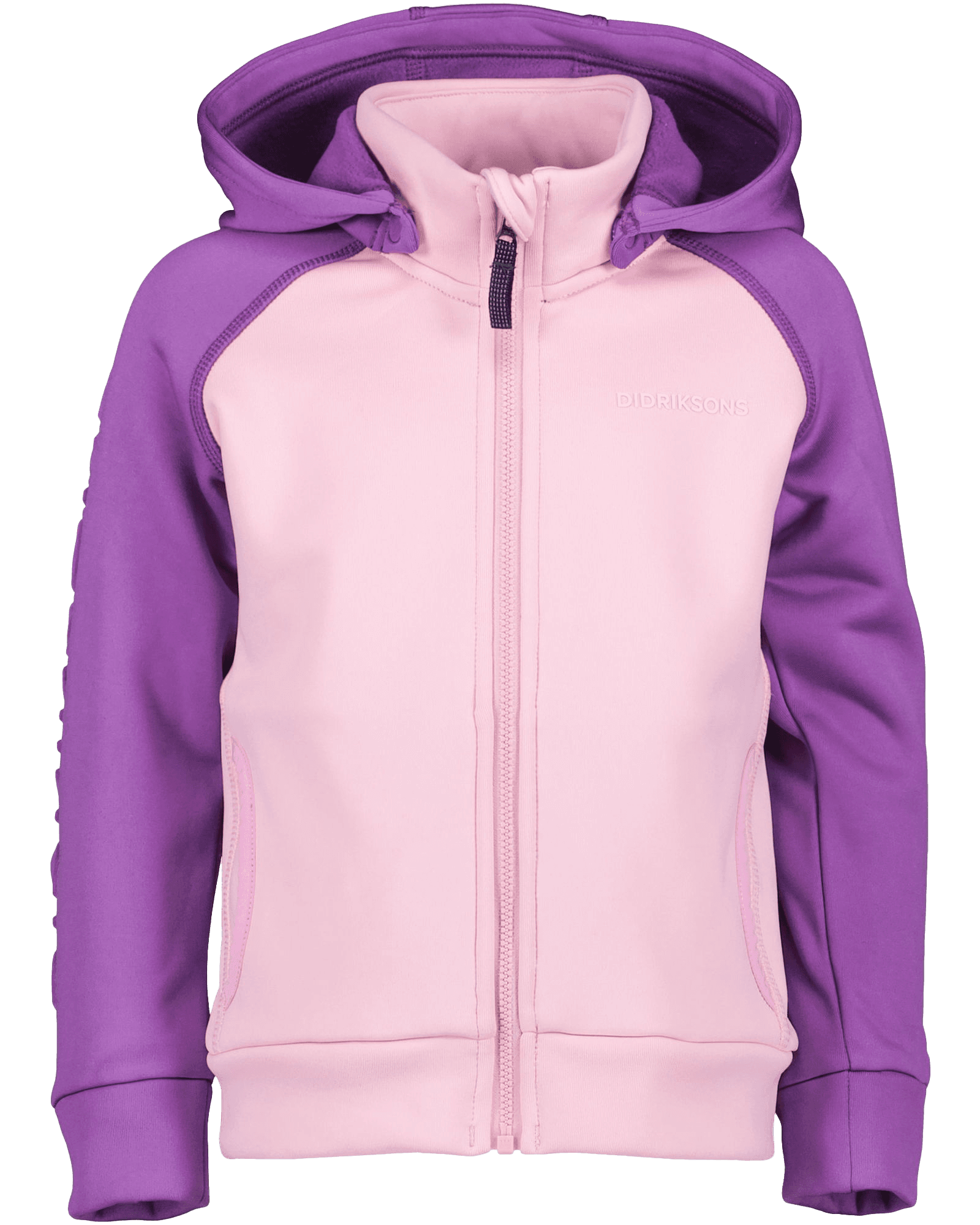 Tulip Purple