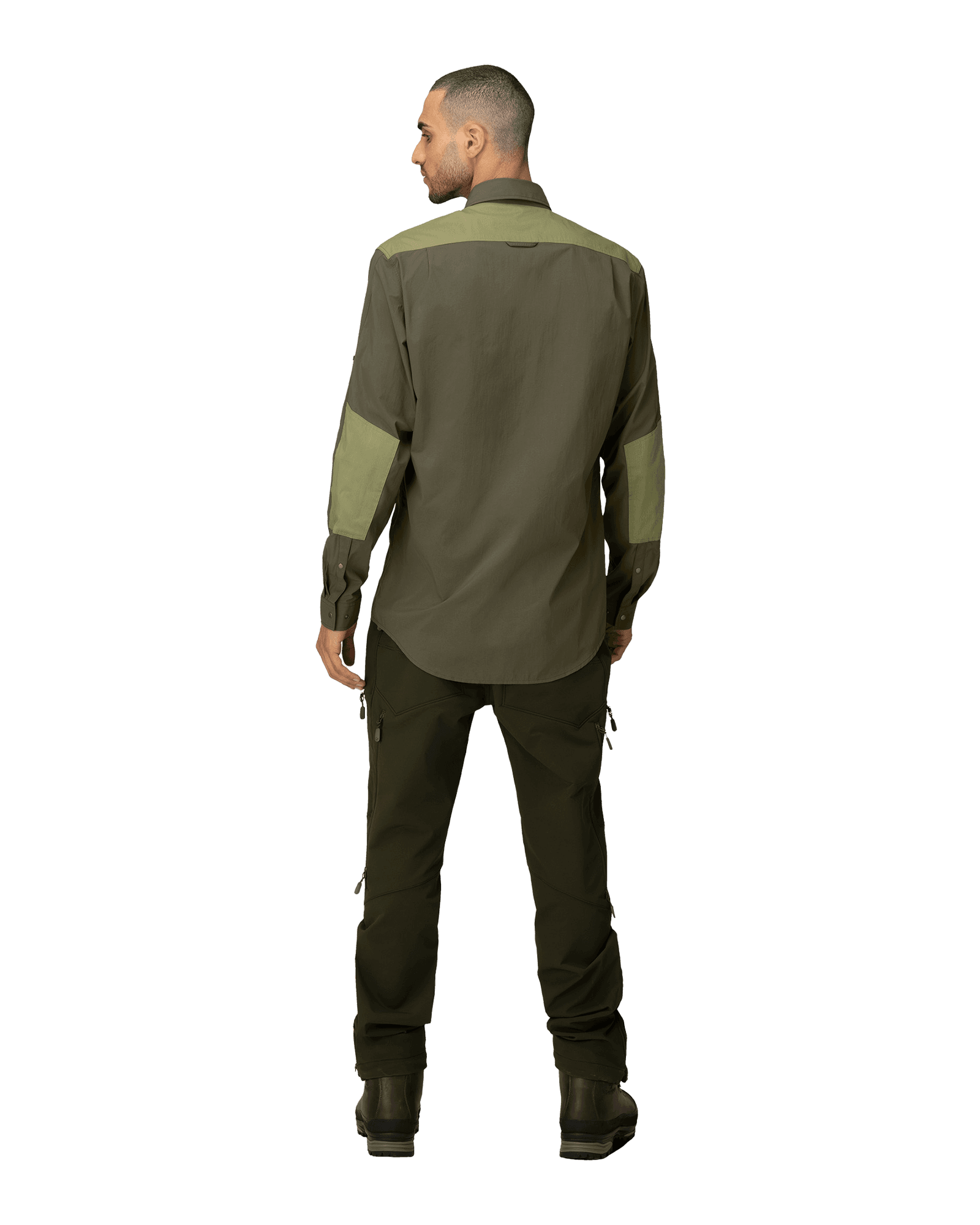 Olive Night