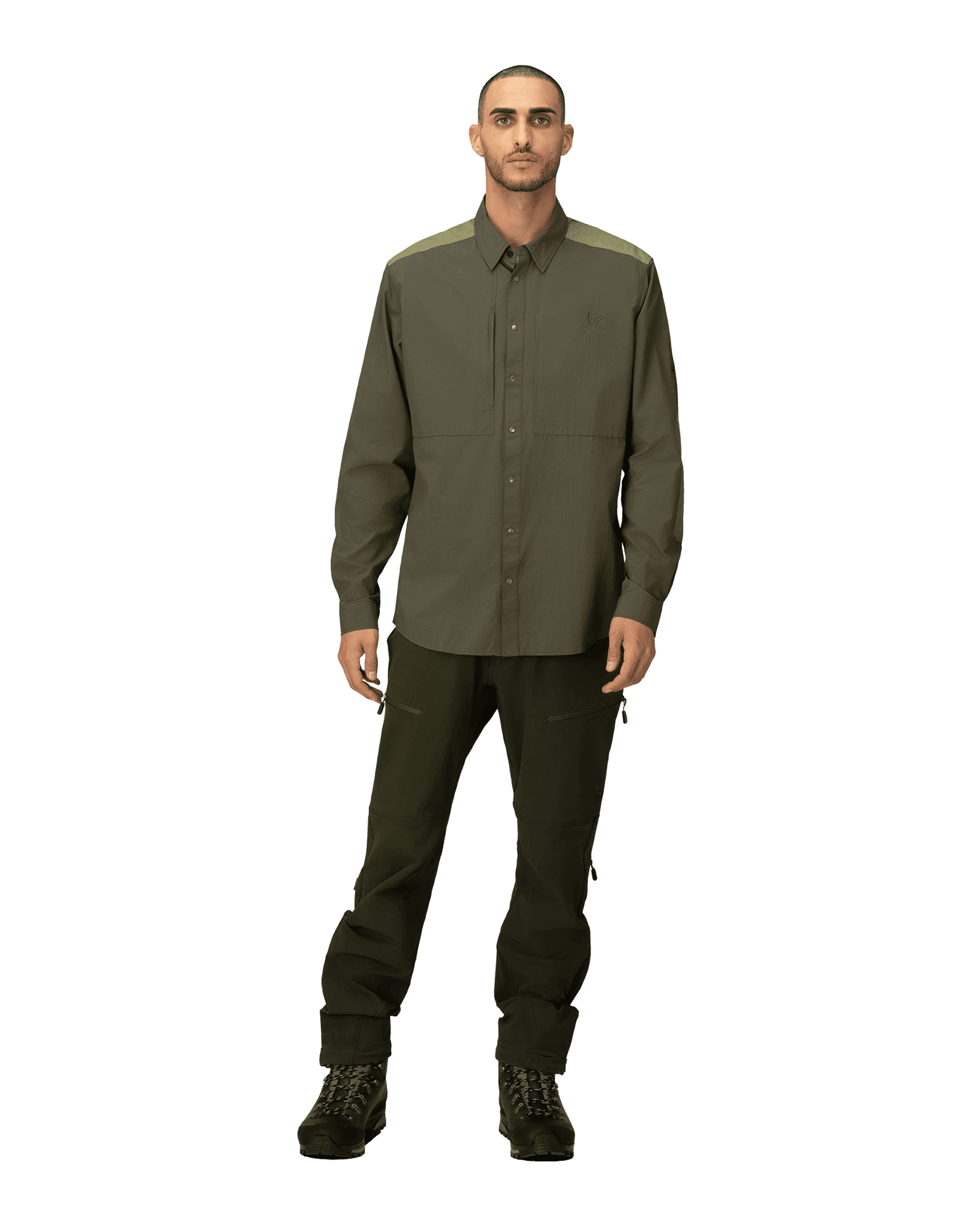 Olive Night