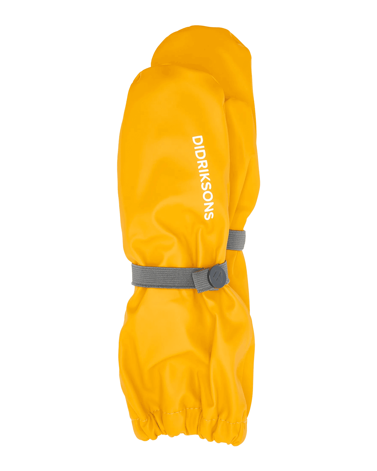 Oat Yellow