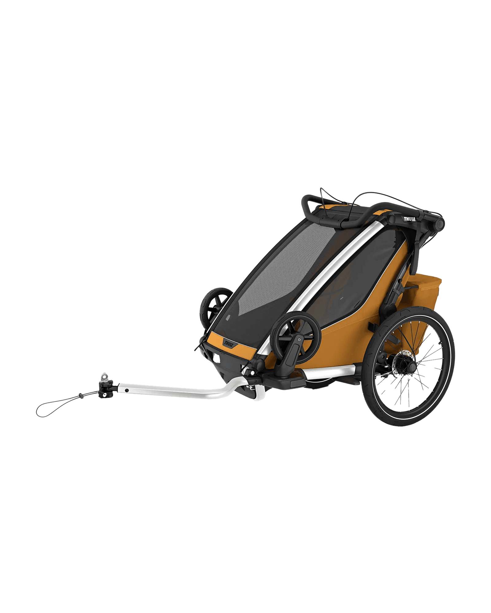 Chariot Sport 1 Natural Gold