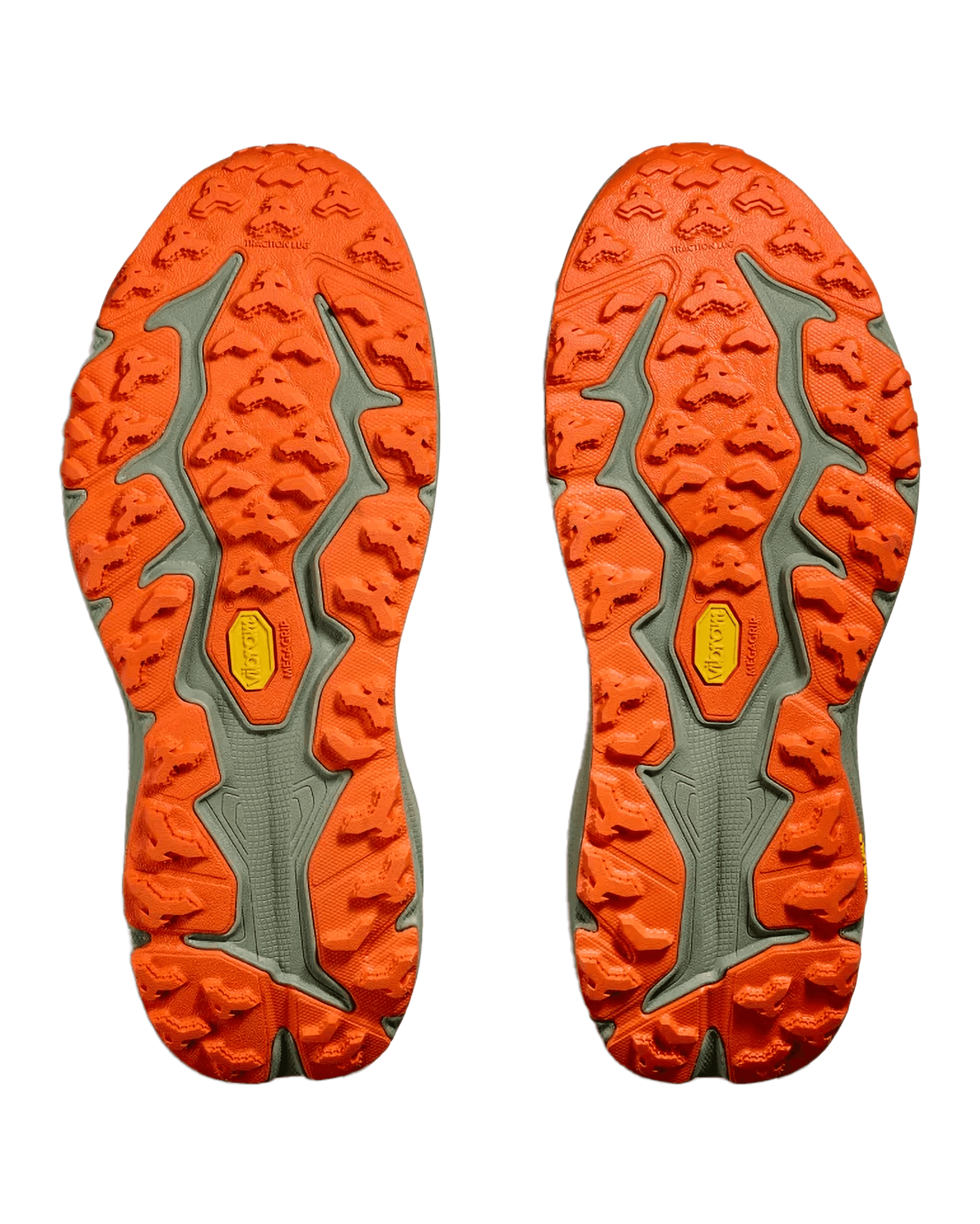 Antique Olive / Squash