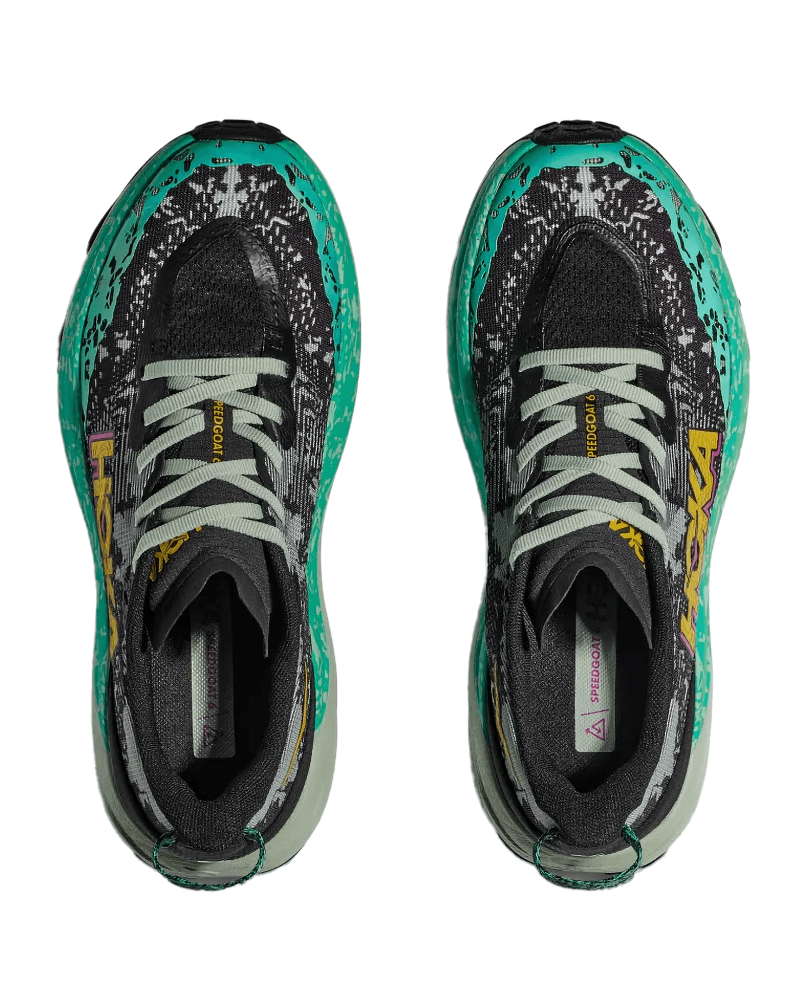 Black / Aloe Vera