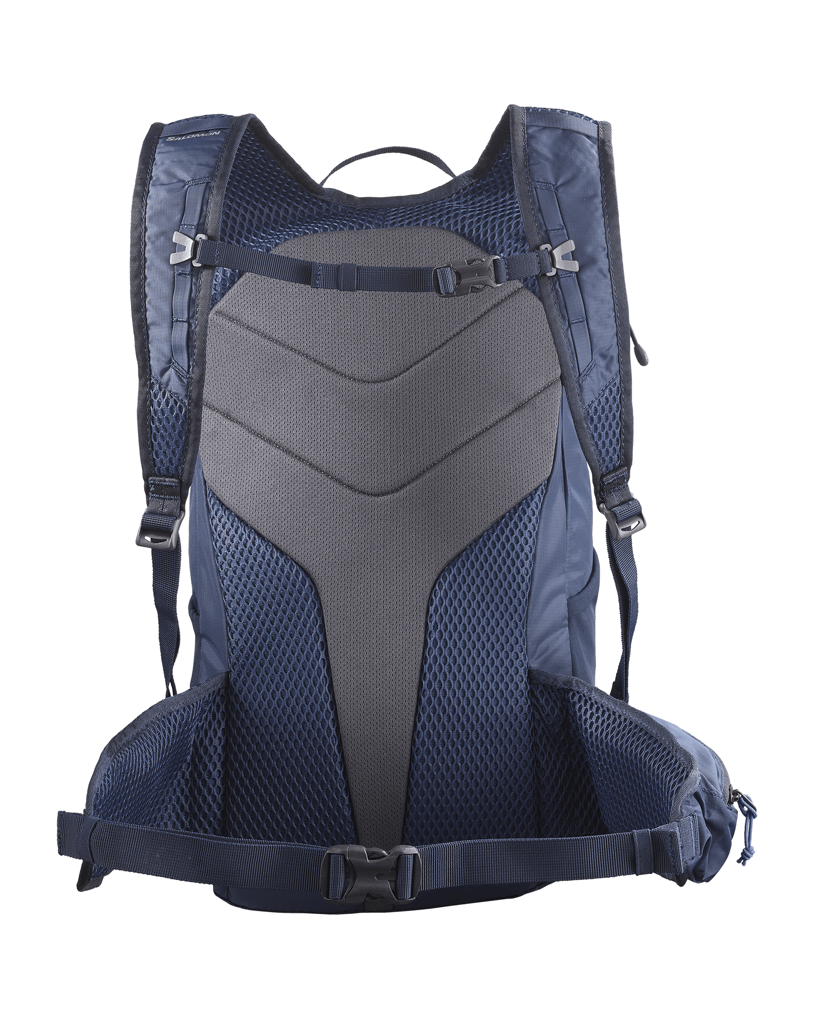 Surf The Web/Black Iris