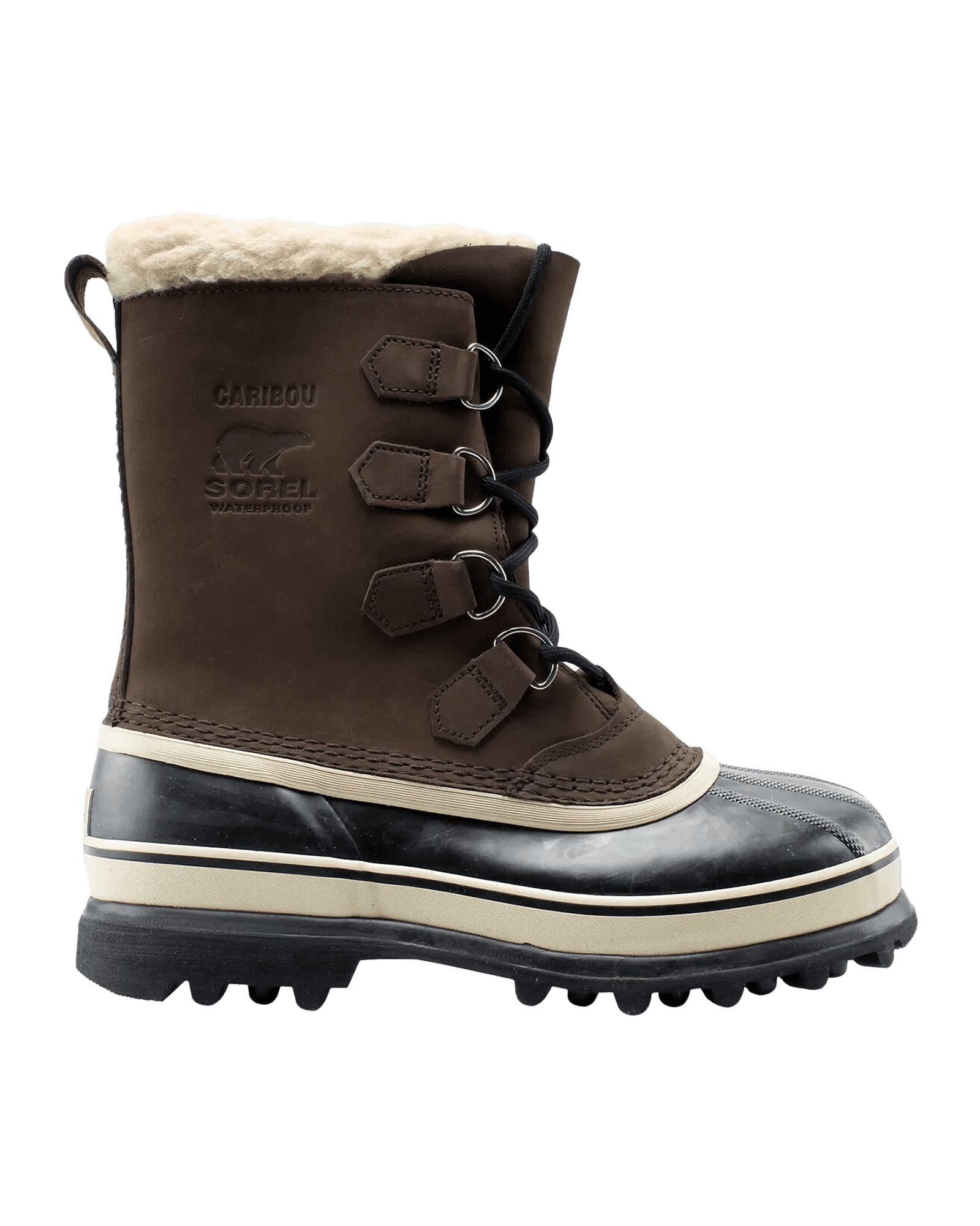 Caribou M Bruno