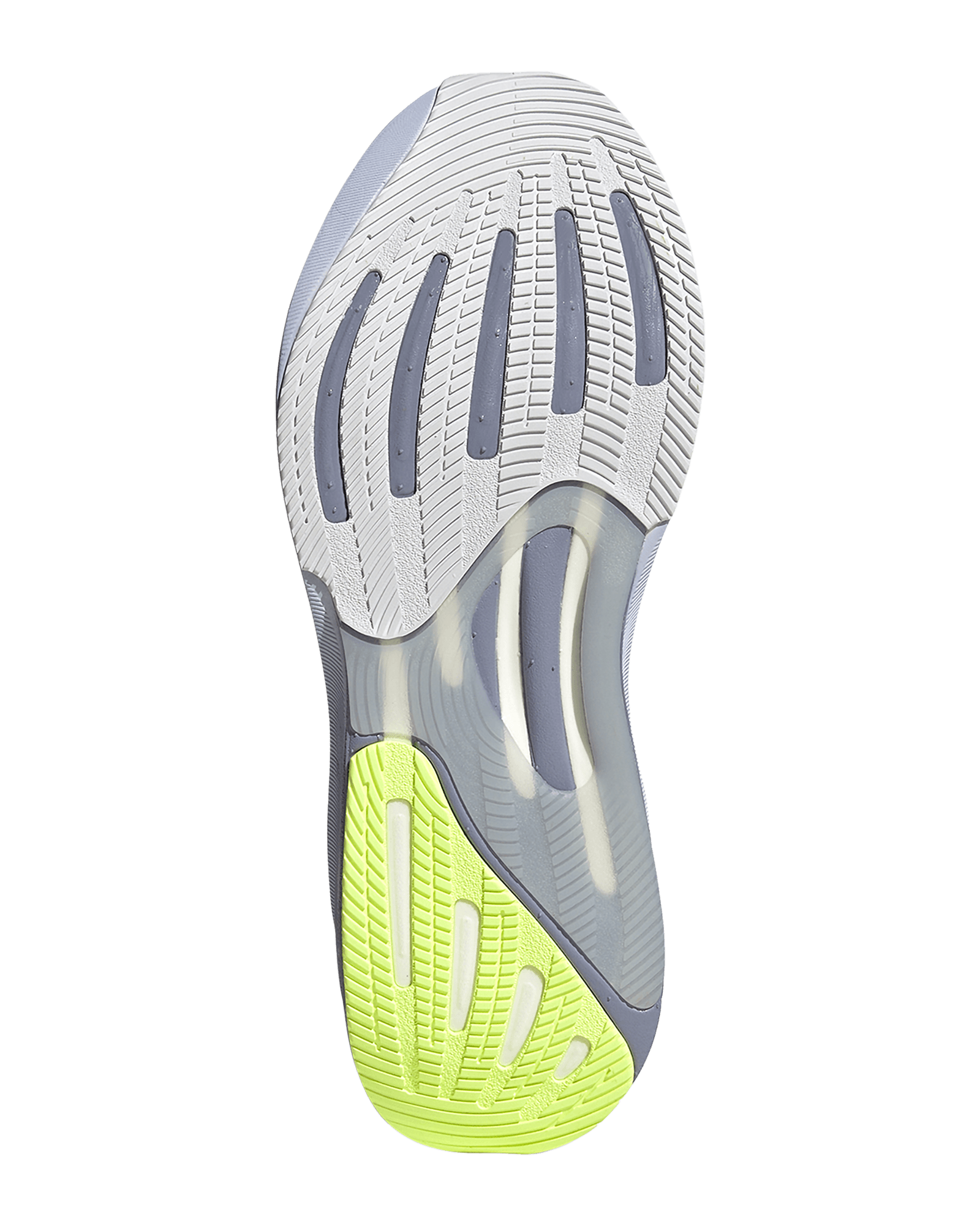 Dshgry/Msilve/Silvio