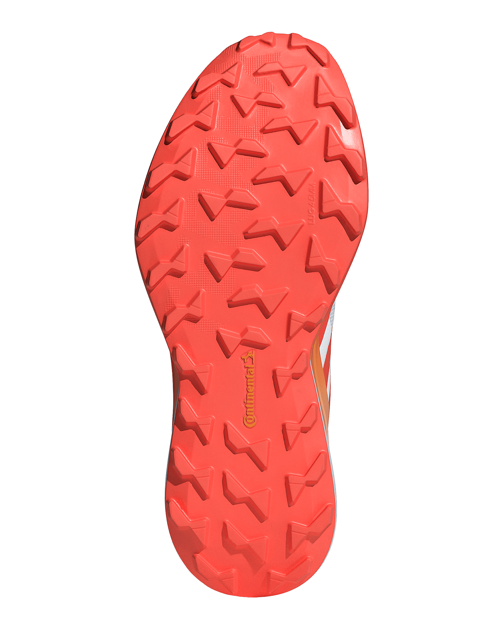 Ftwwht/Seimor/Dshgry