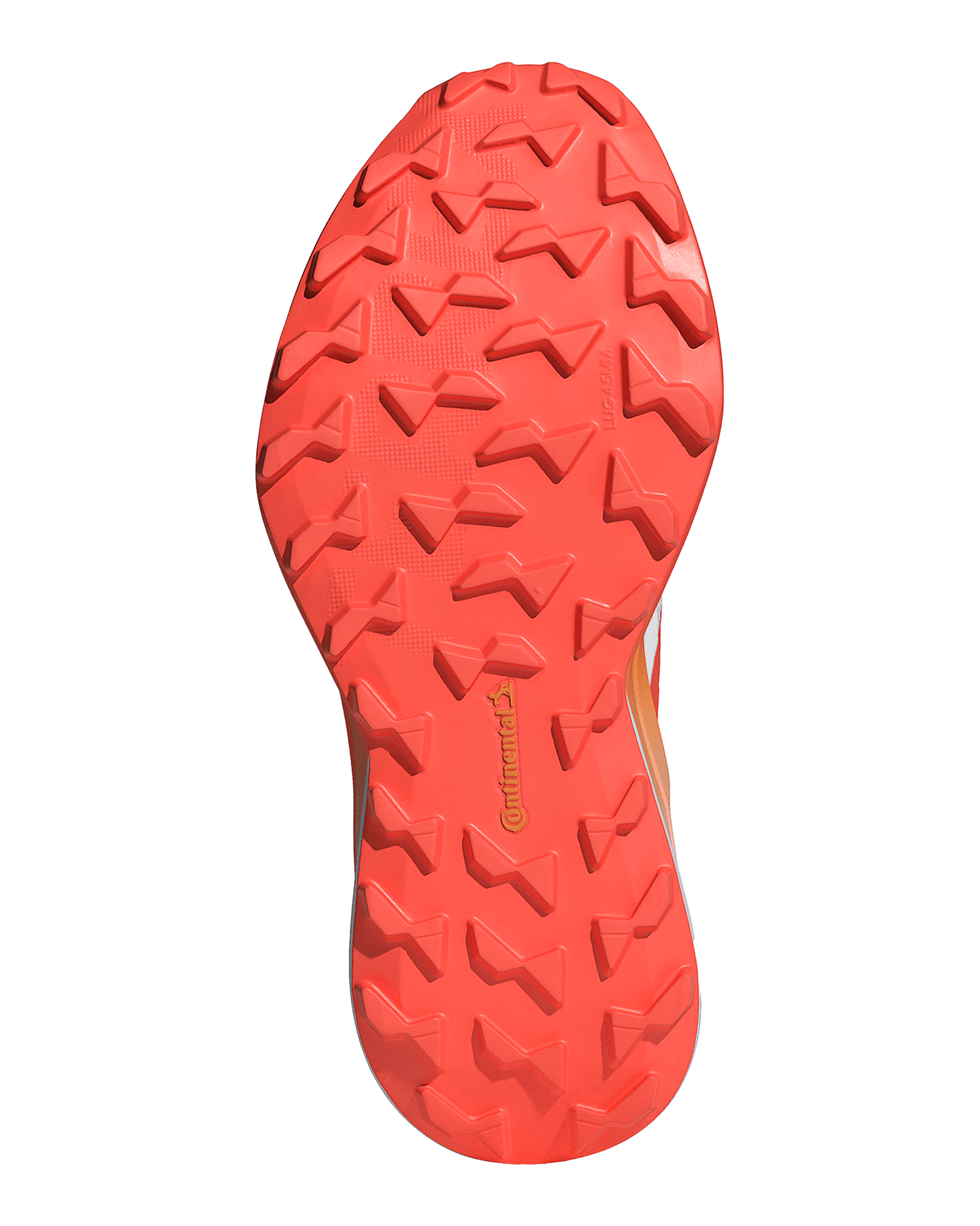 Ftwwht/Seimor/Dshgry