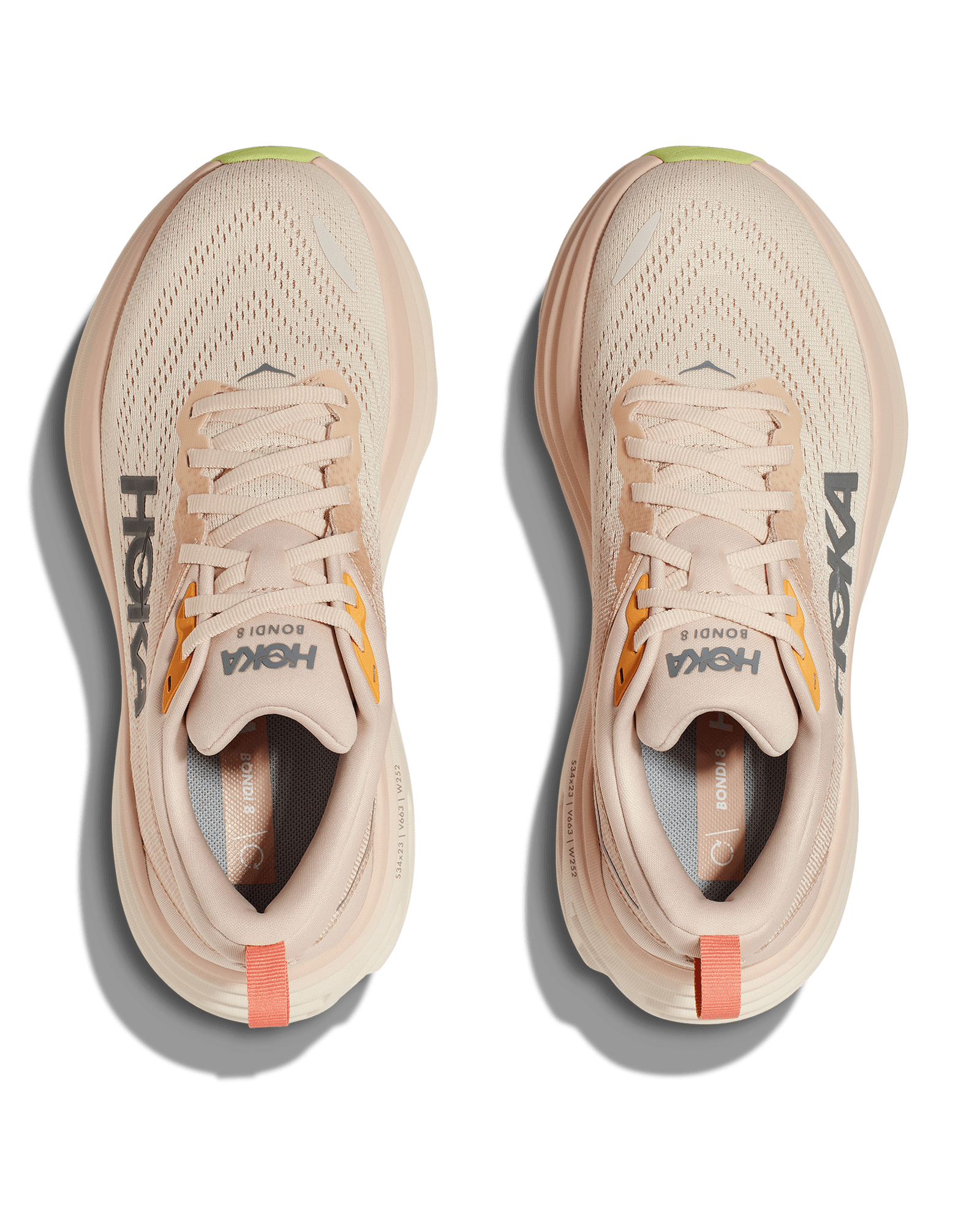 Cream / Vanilla