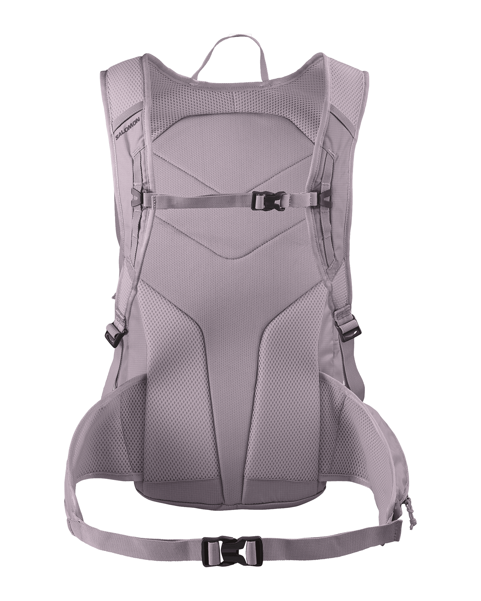 Nirvana/Plum Perfect