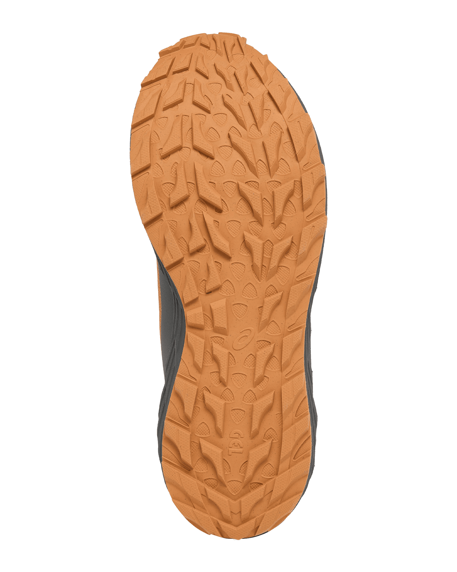 Golden Brown/Magnetite