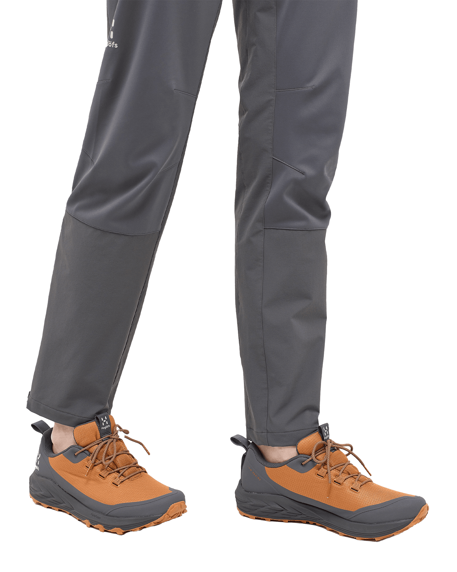 Golden Brown/Magnetite