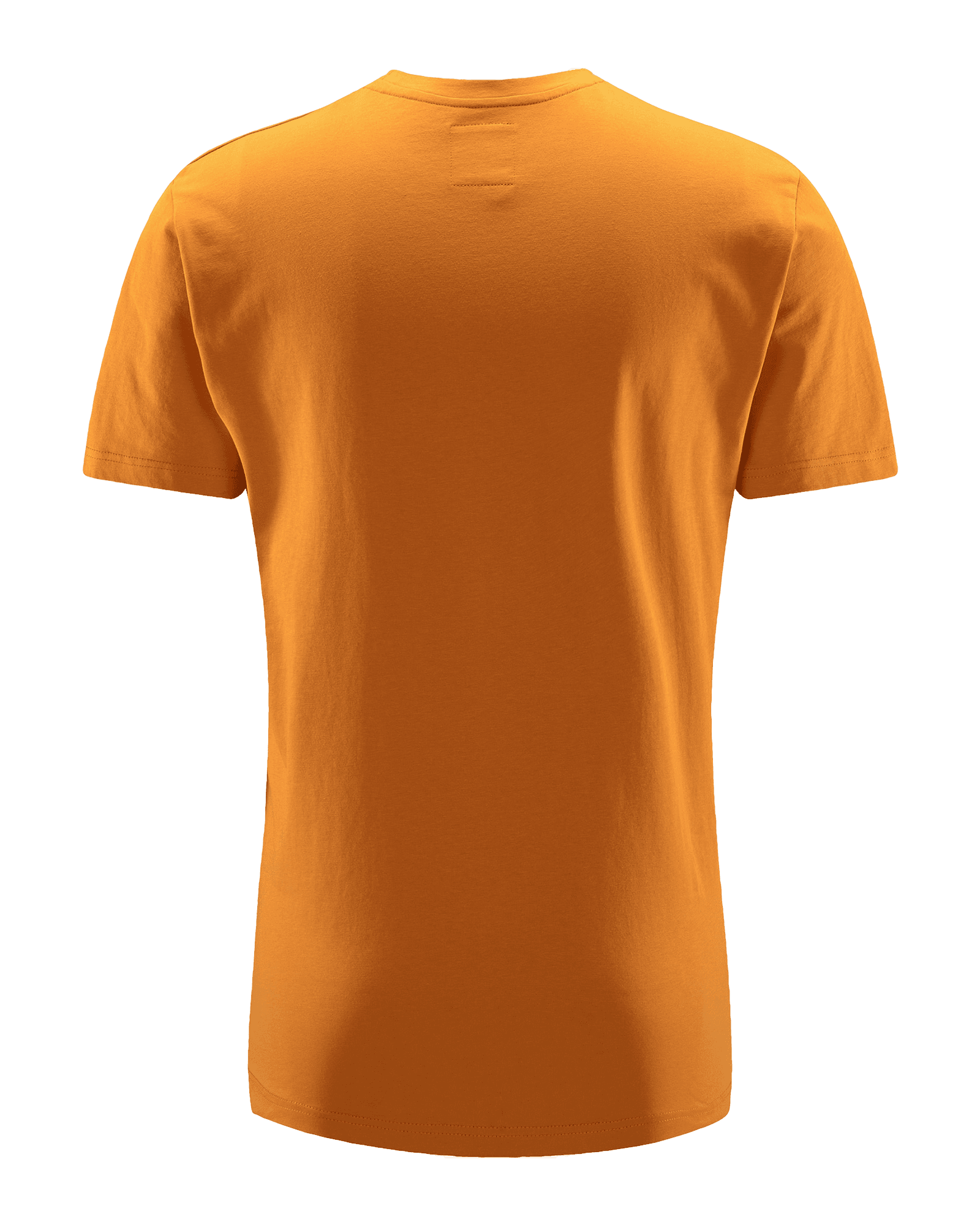 Desert Yellow
