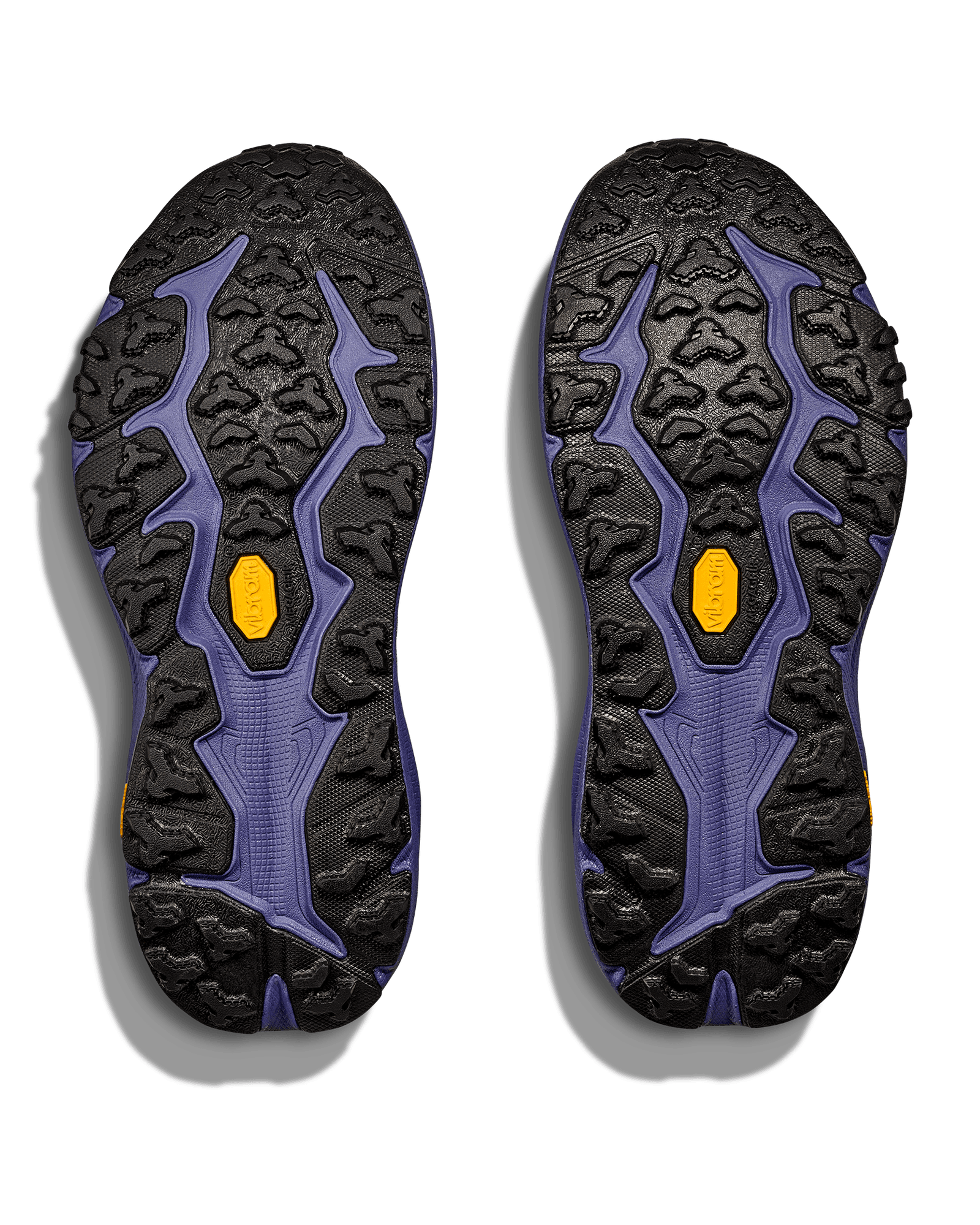 Oatmeal / Mountain Iris