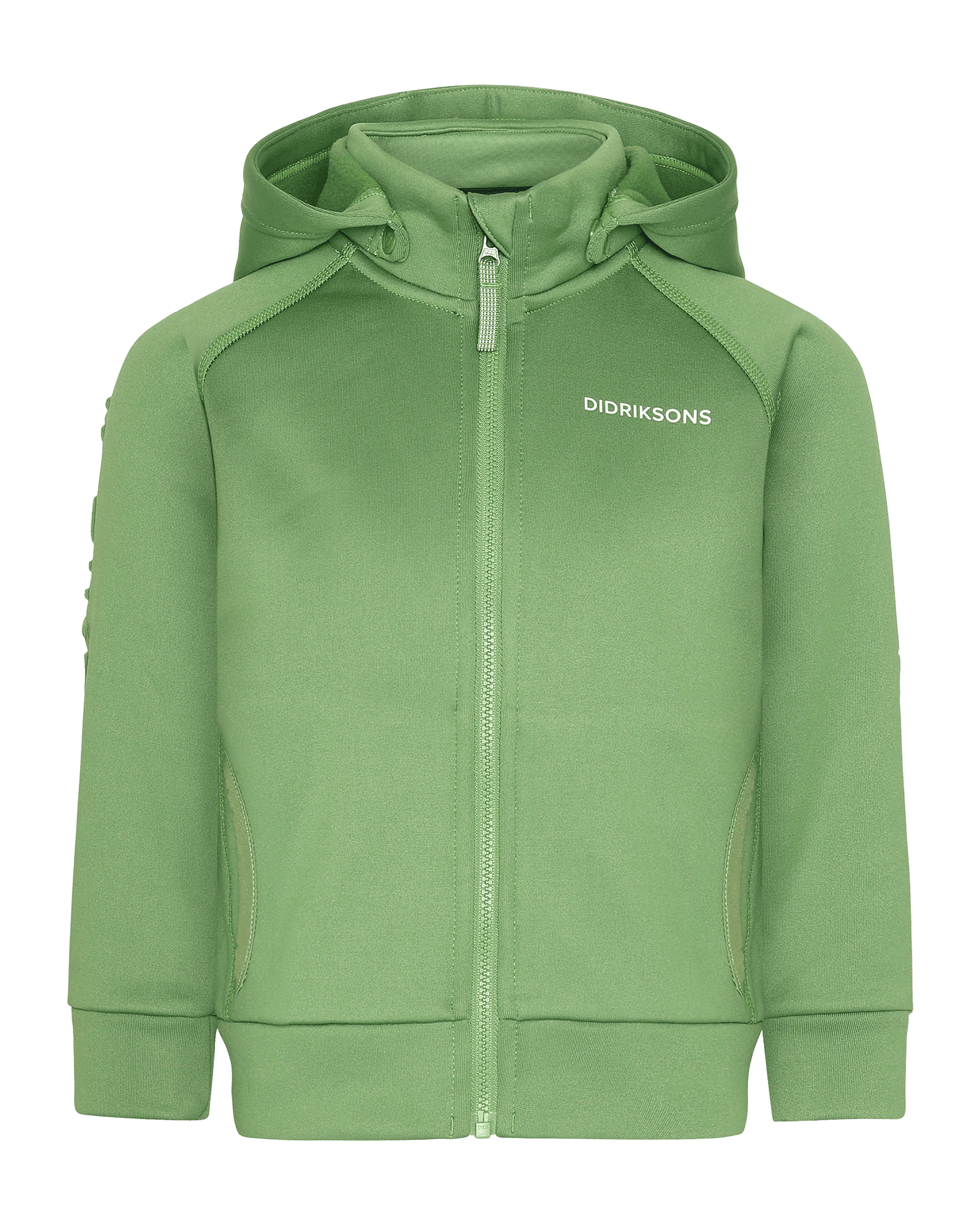 Algae Green