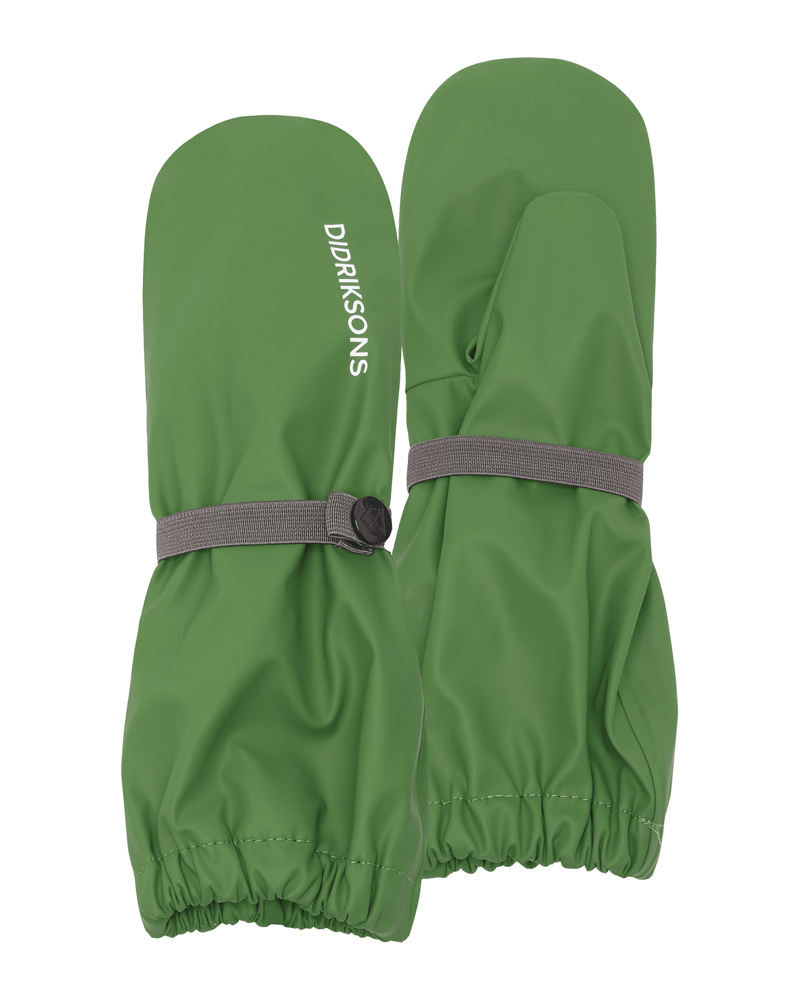 Algae Green