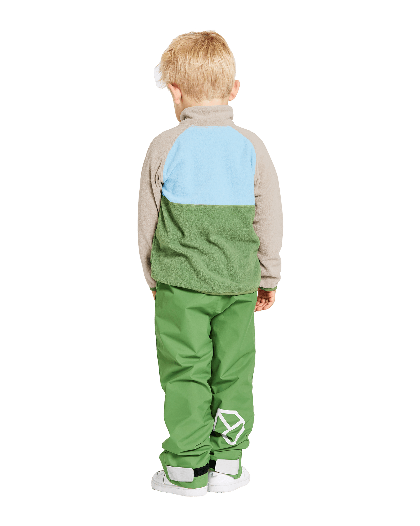 Algae Green