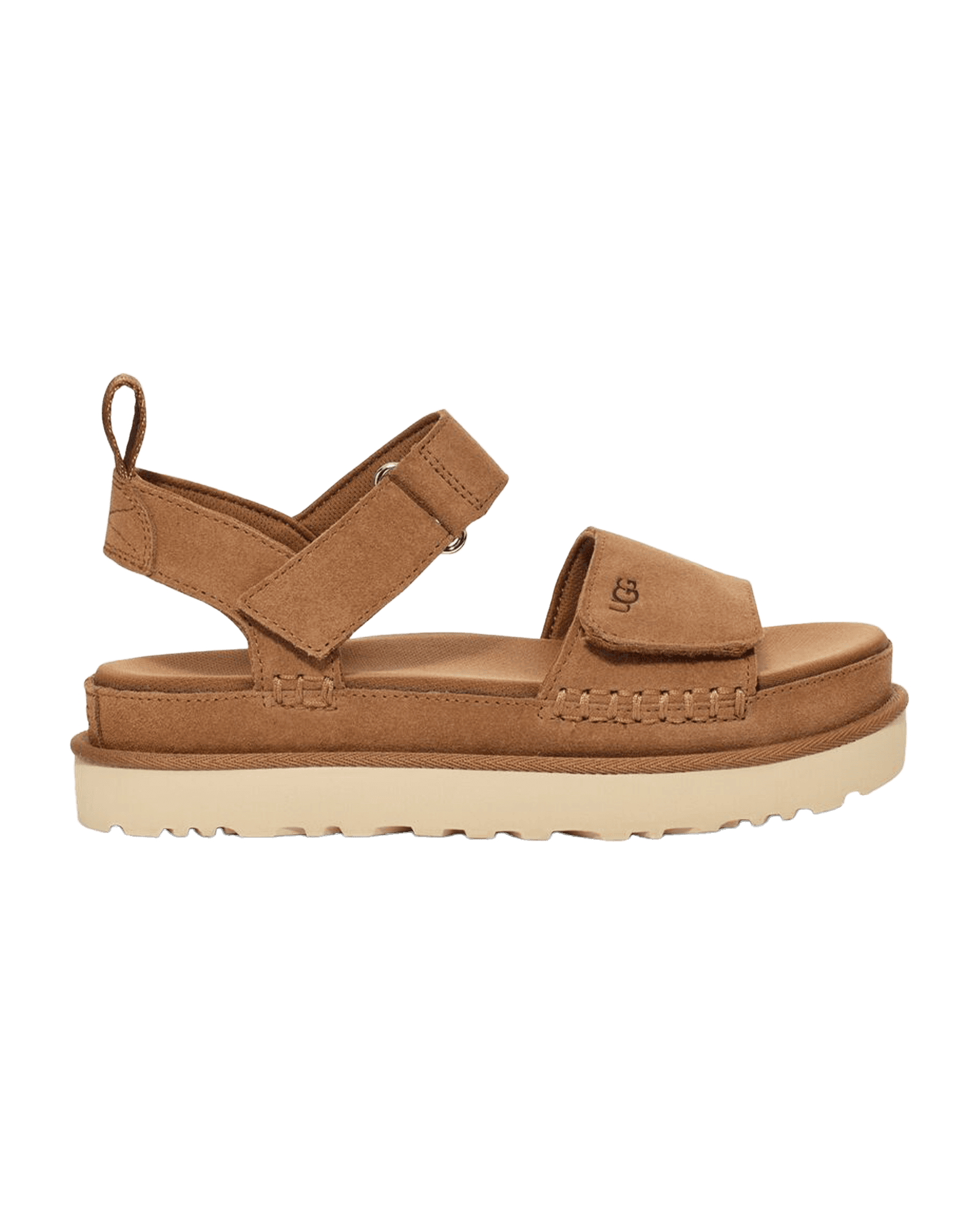 Goldenstar W Chestnut