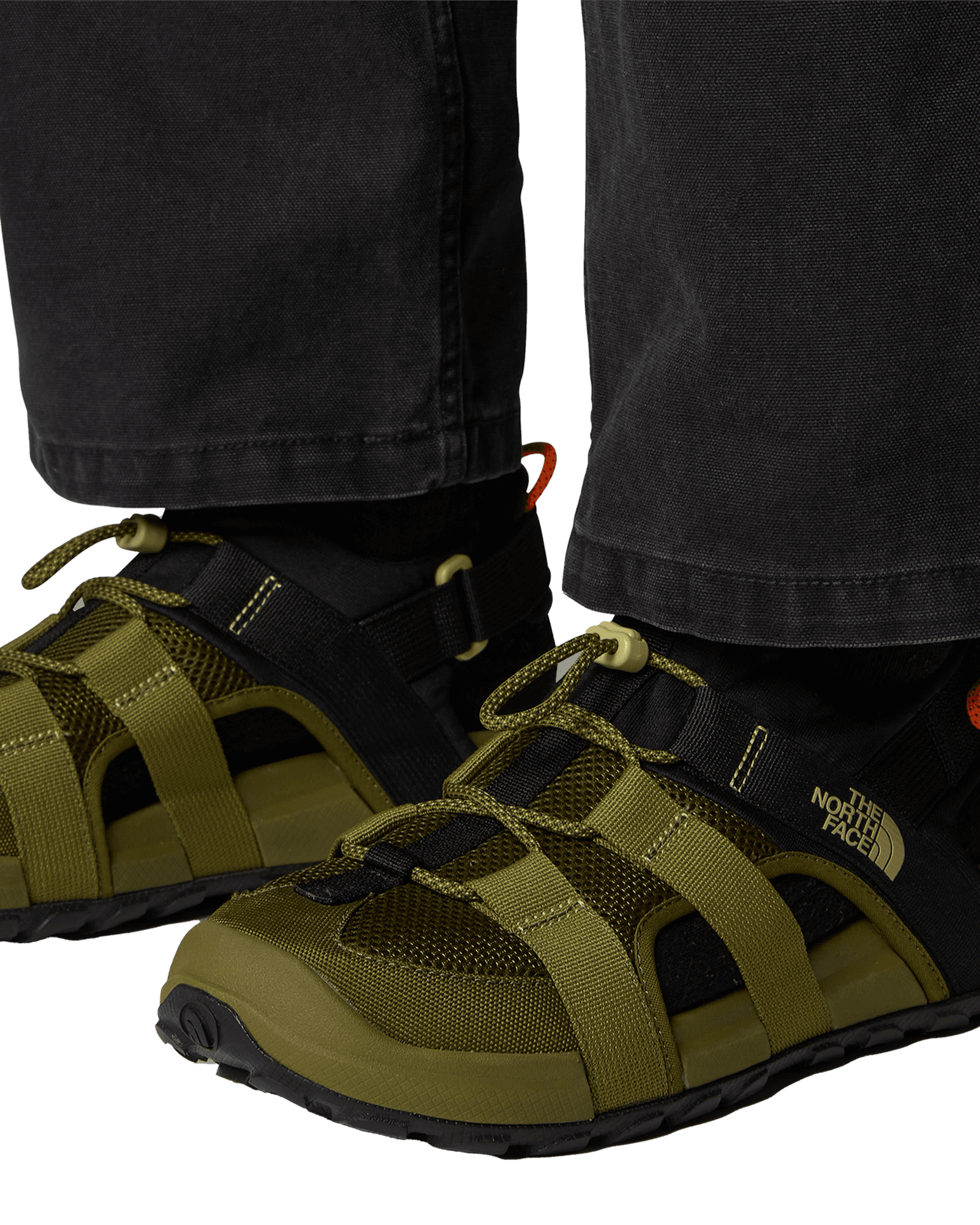 Forest Olive/TNF Black