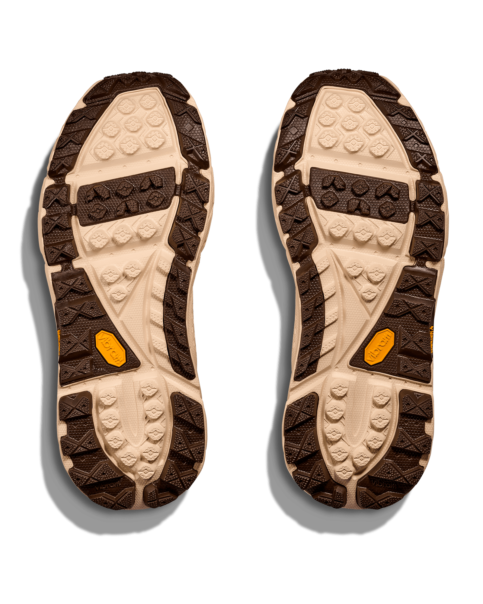 Dried Fig / Cold Brew