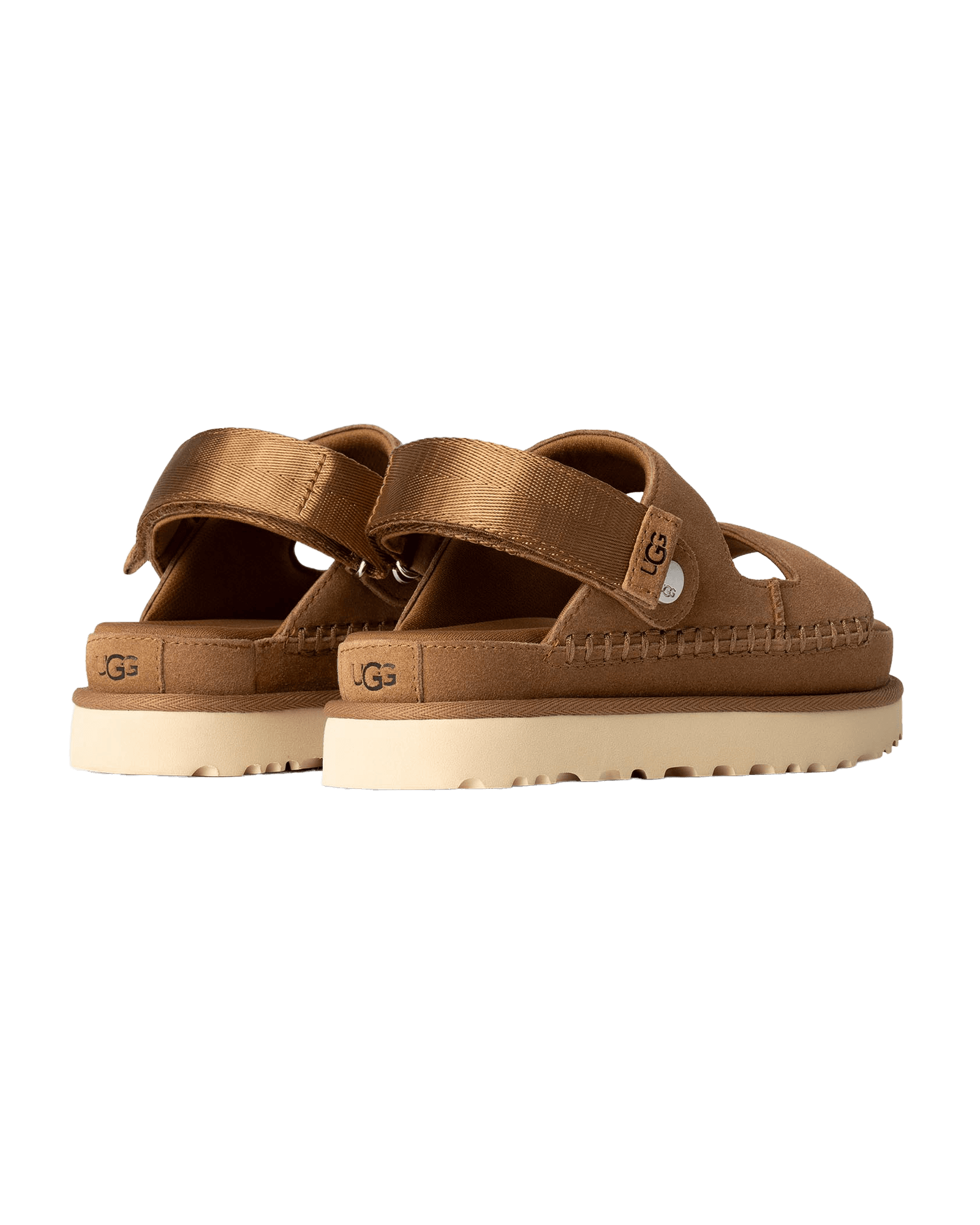 Goldenstar Glide W Chestnut